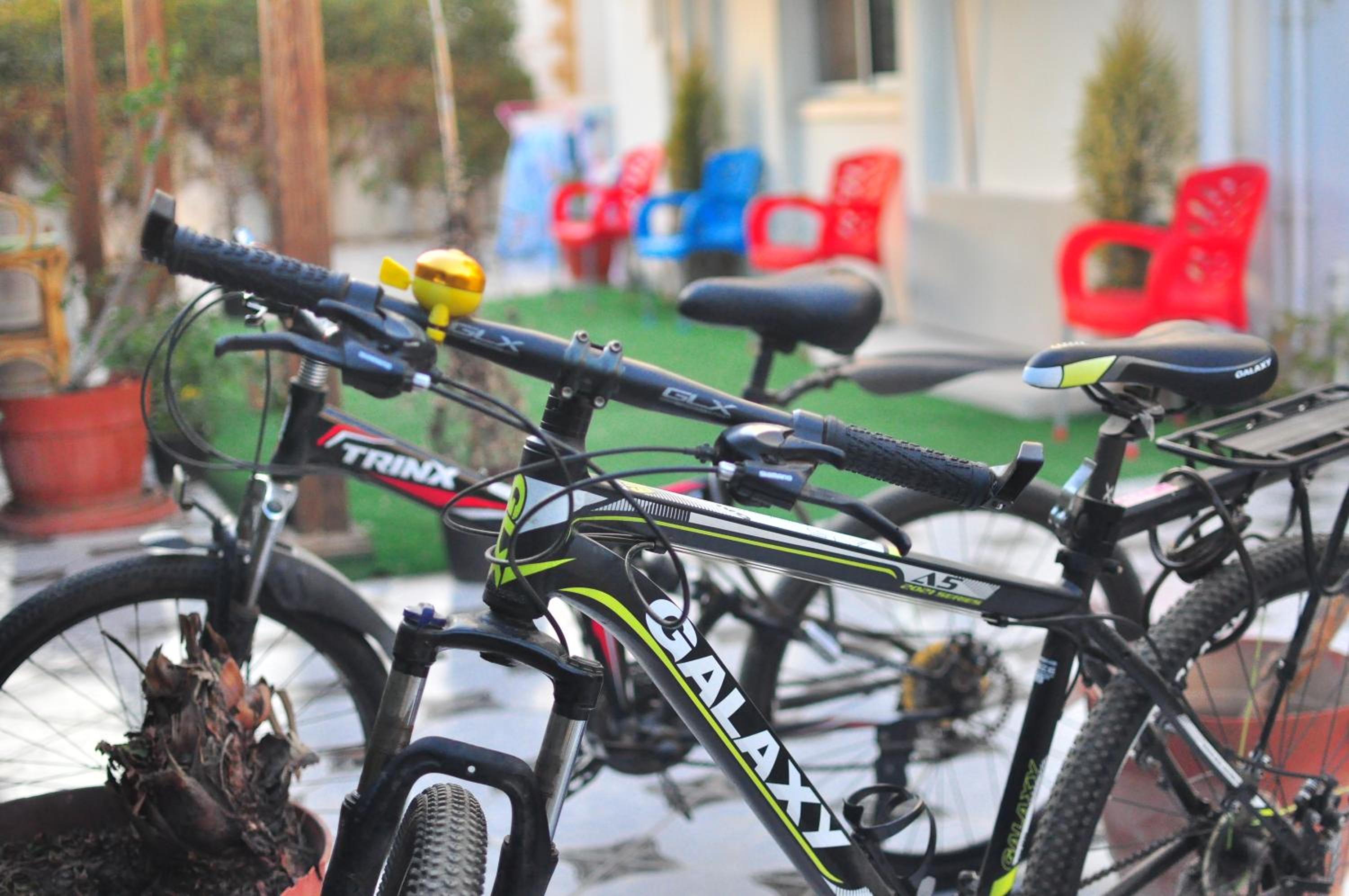 activities & amenities