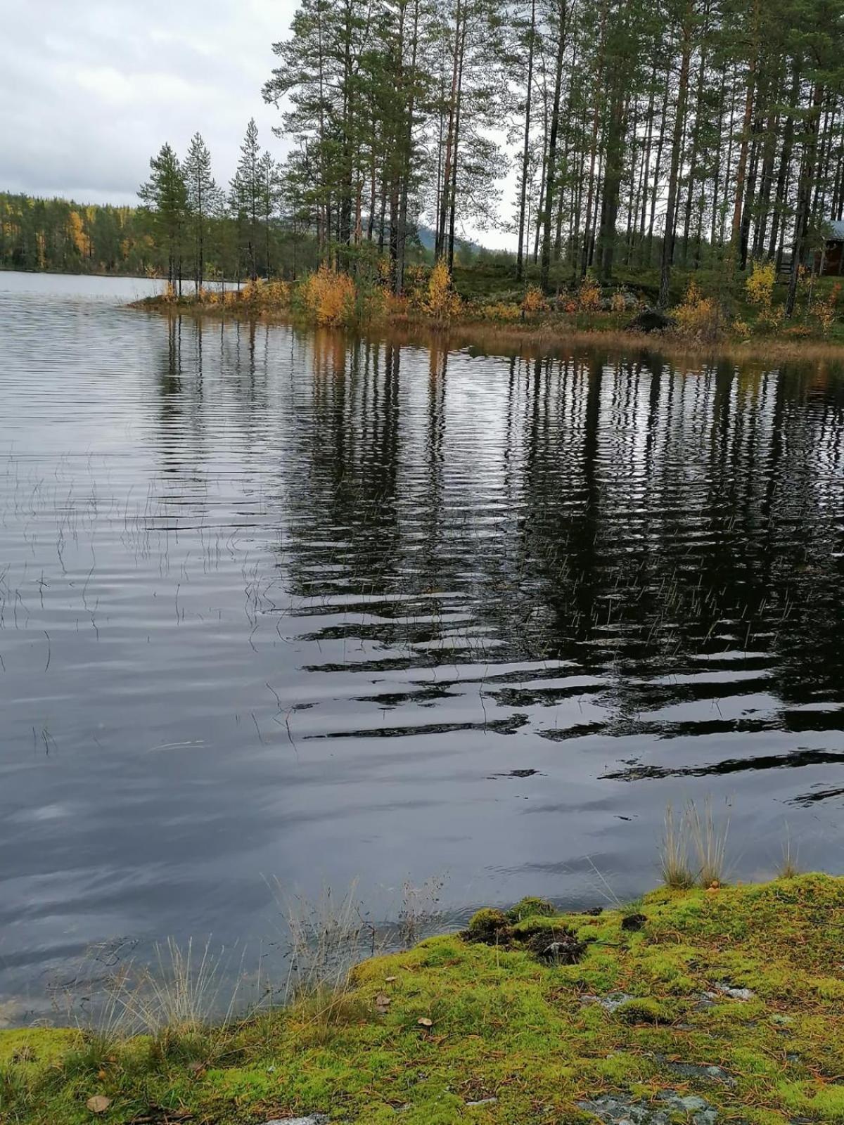 Photo 24