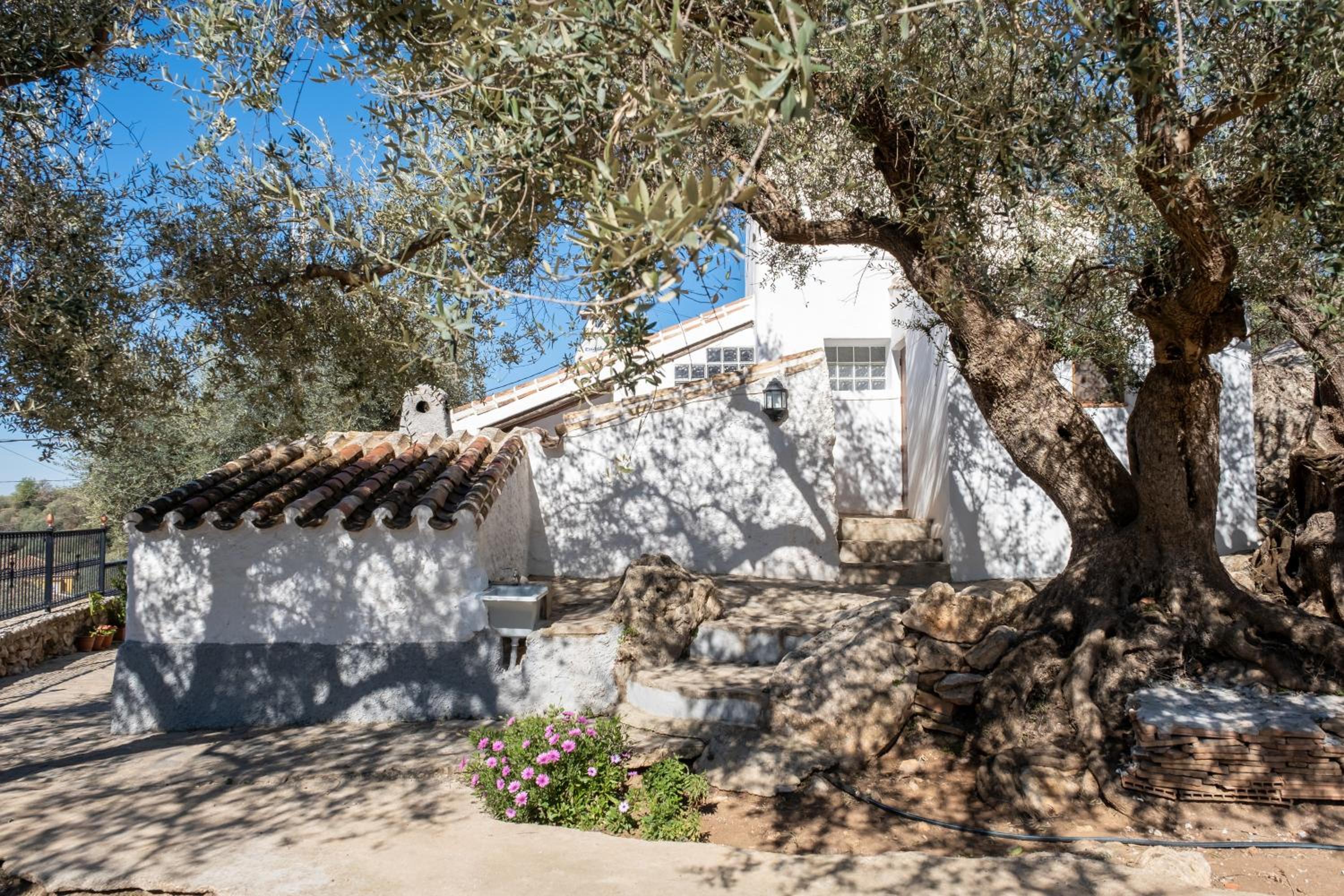 Cortijo Salva