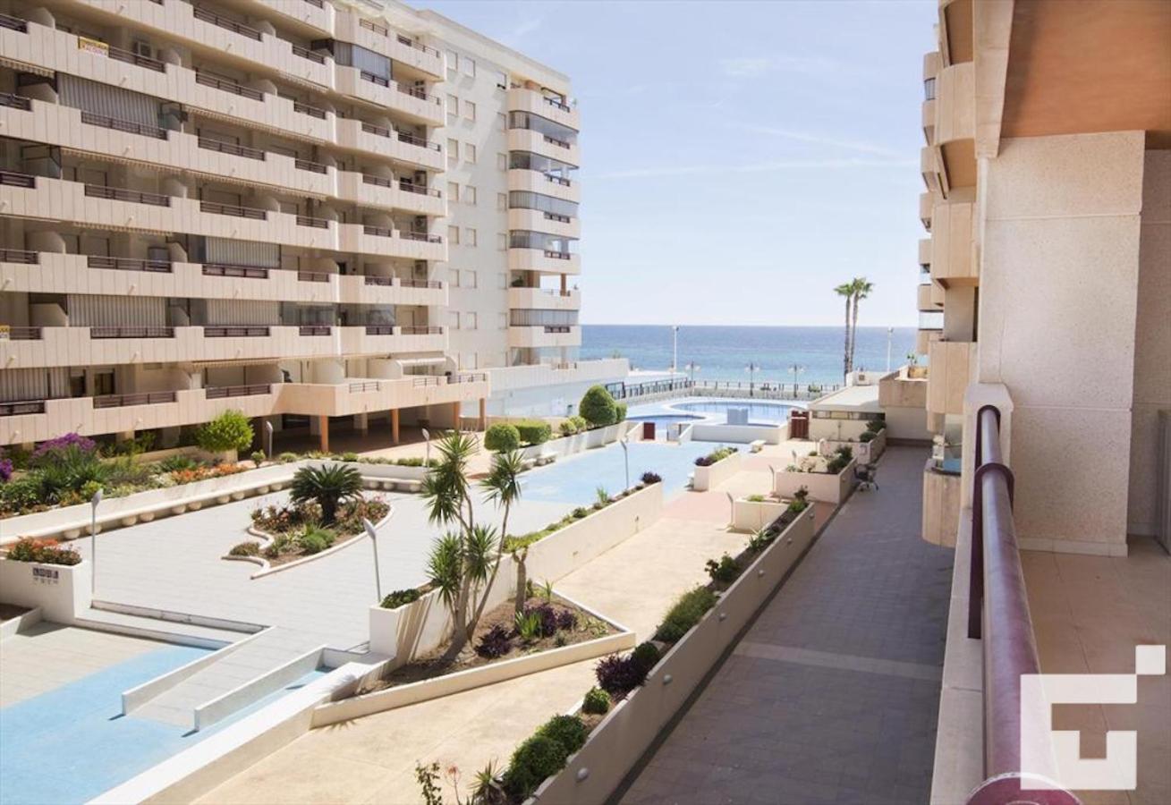 Balcony & Terrace