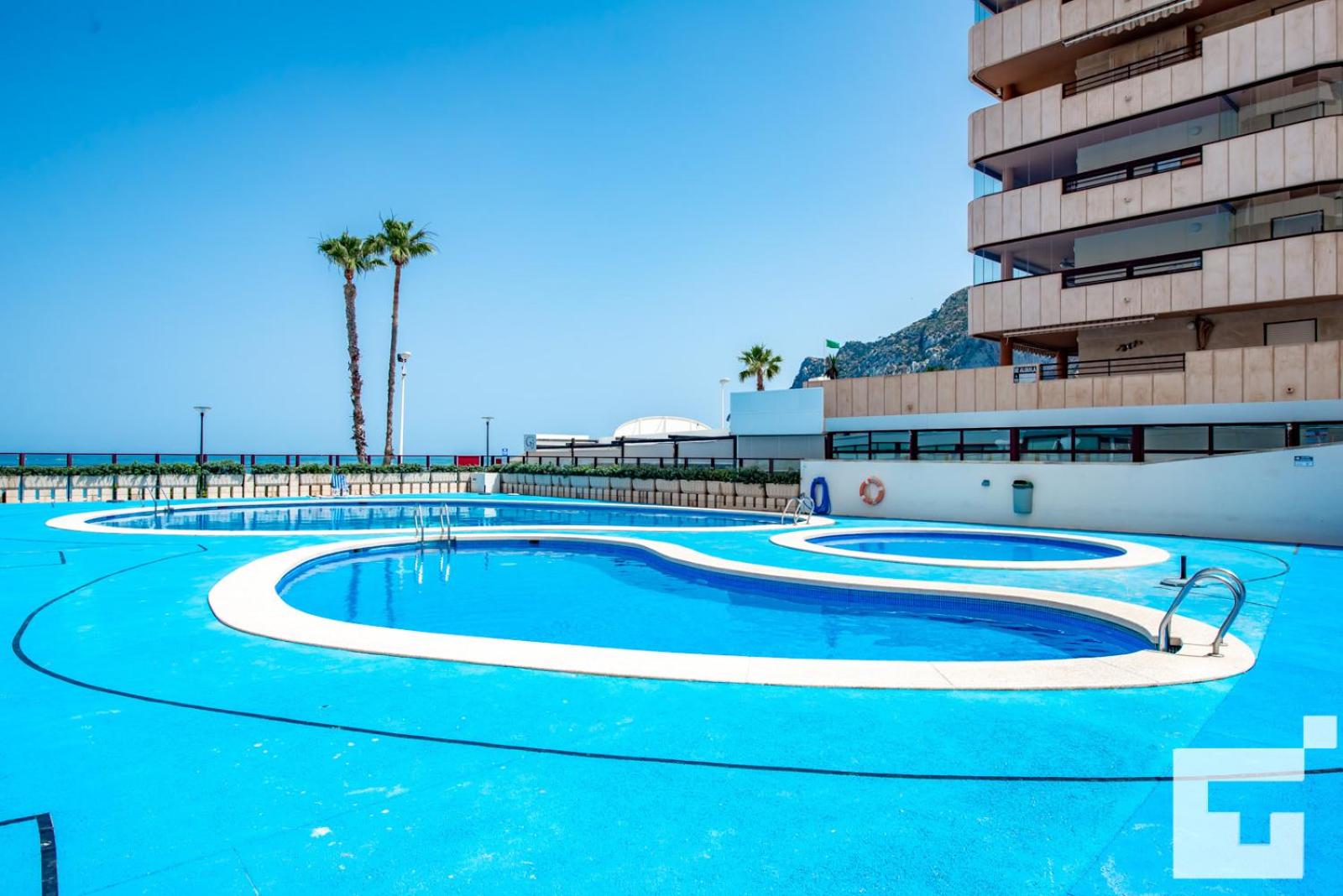 Pool & Wellness