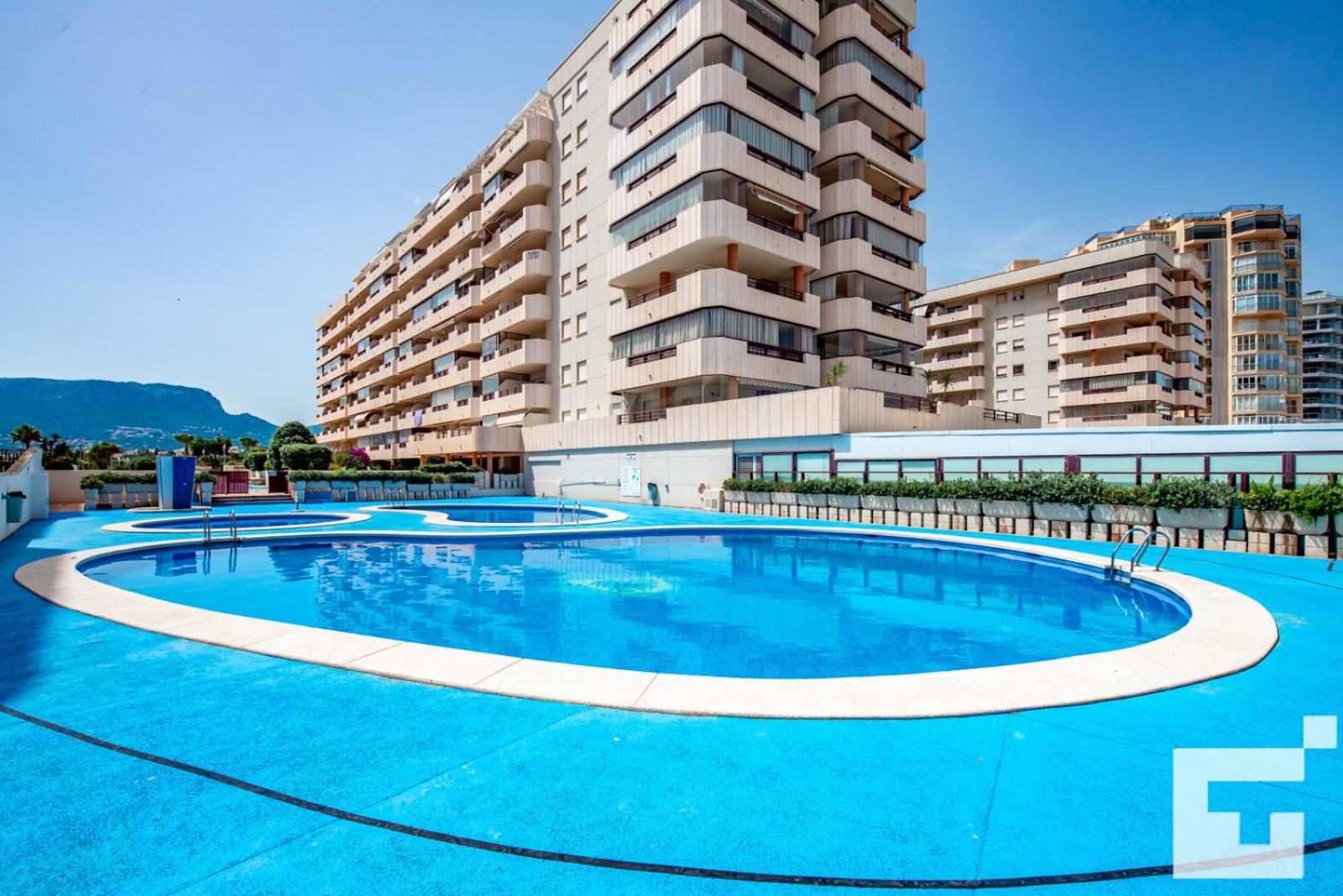 Pool & Wellness