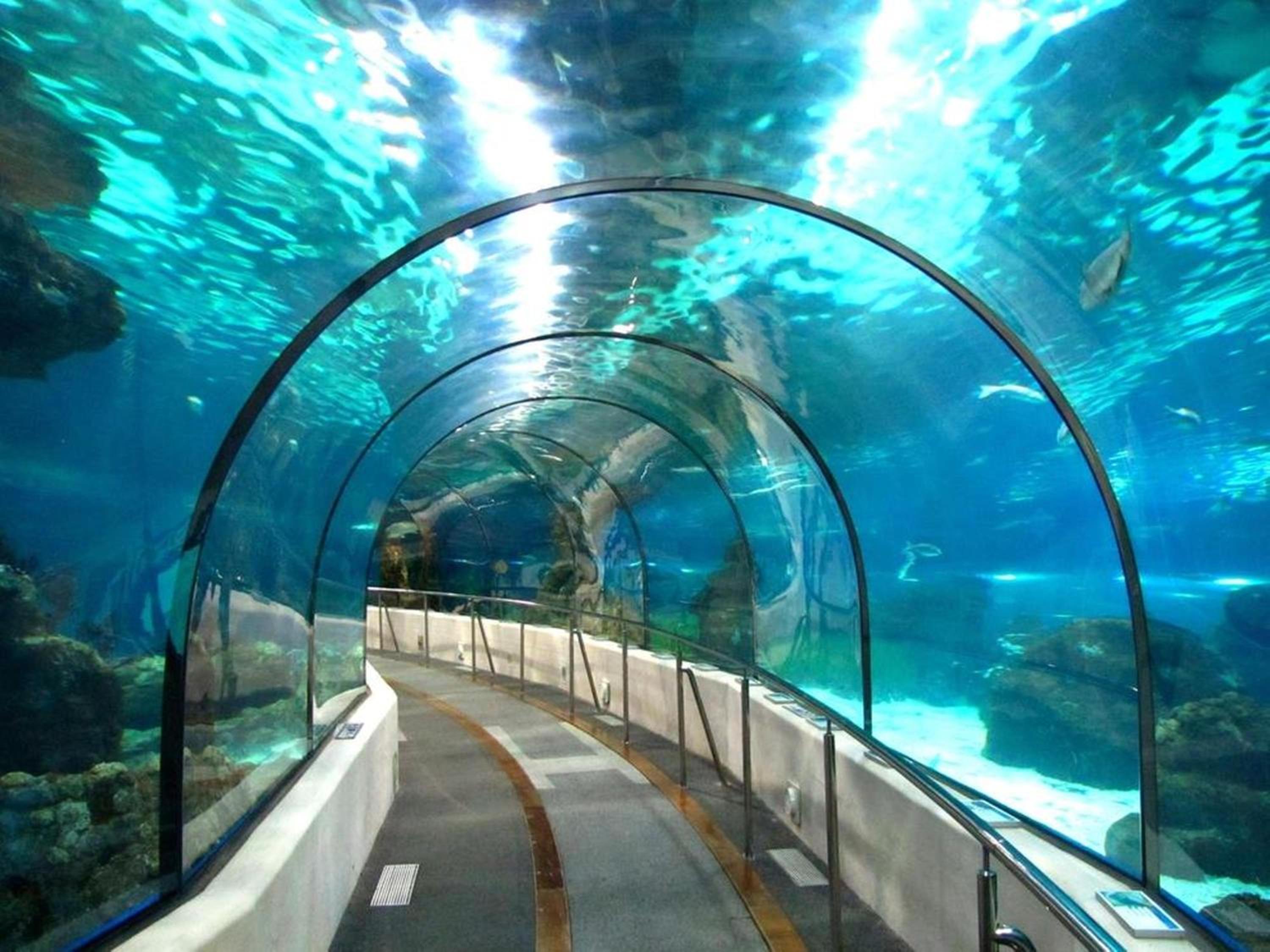 Penthouse lumineux avec piscine