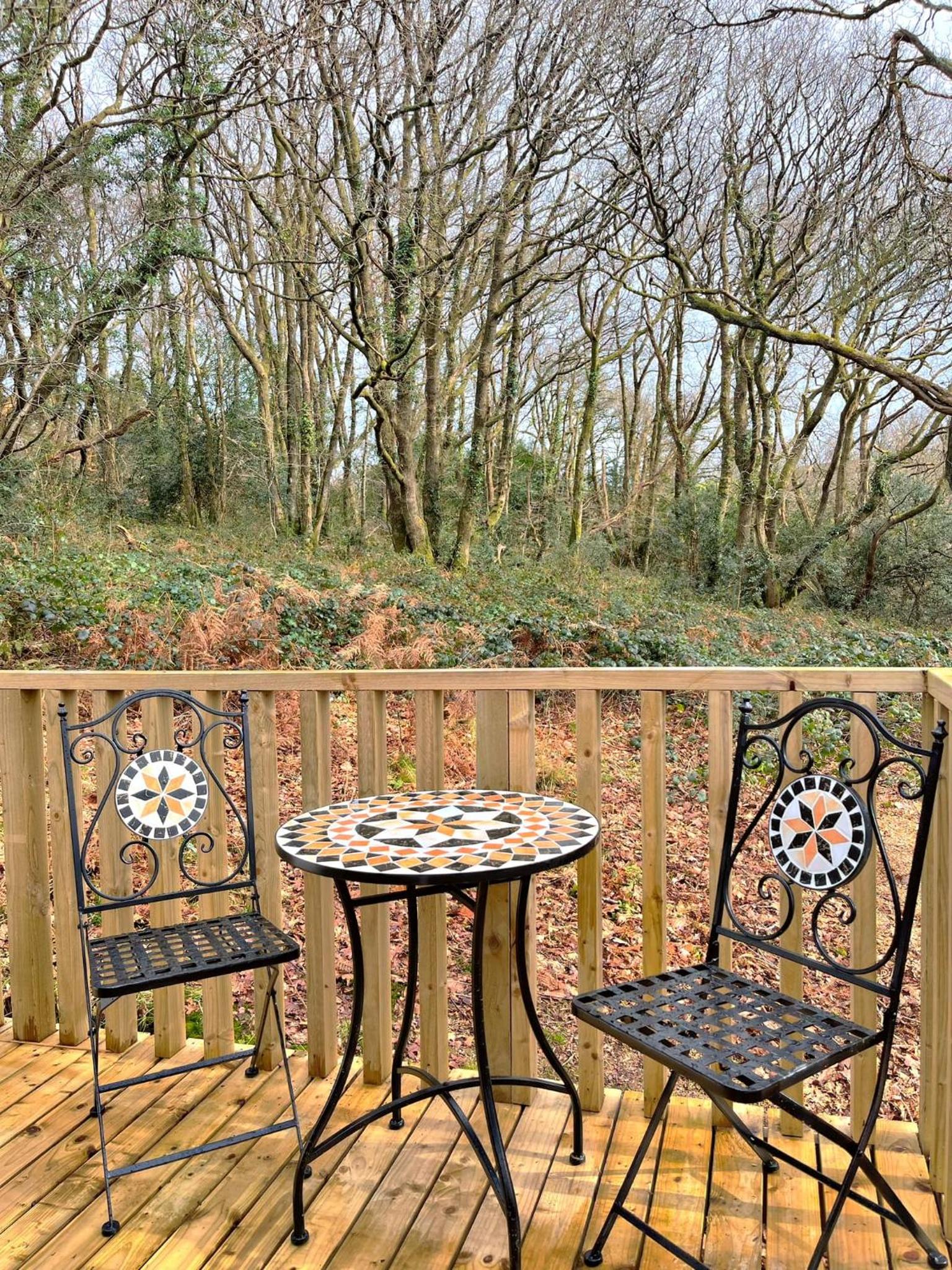 HiveAway - Hot Tub - Carmarthenshire - Pembrokeshire view 5