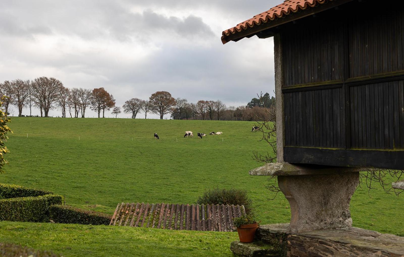 Casa A Curiscada