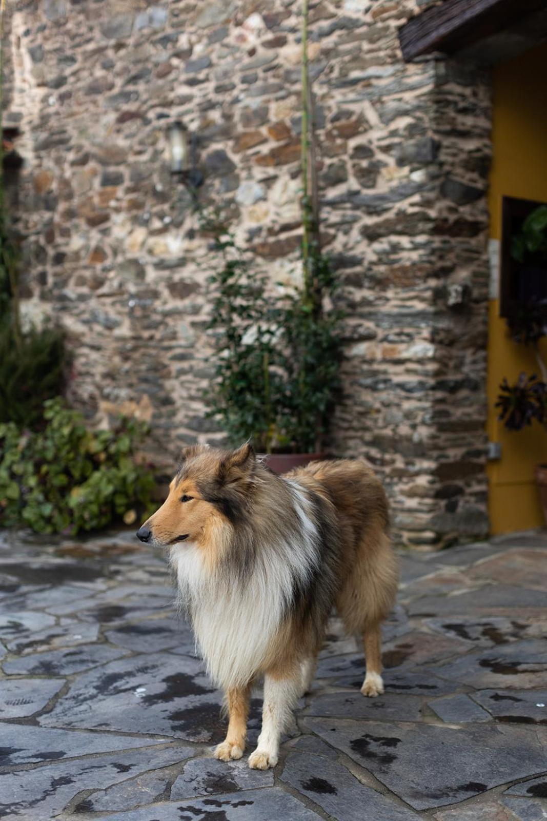Casa A Curiscada
