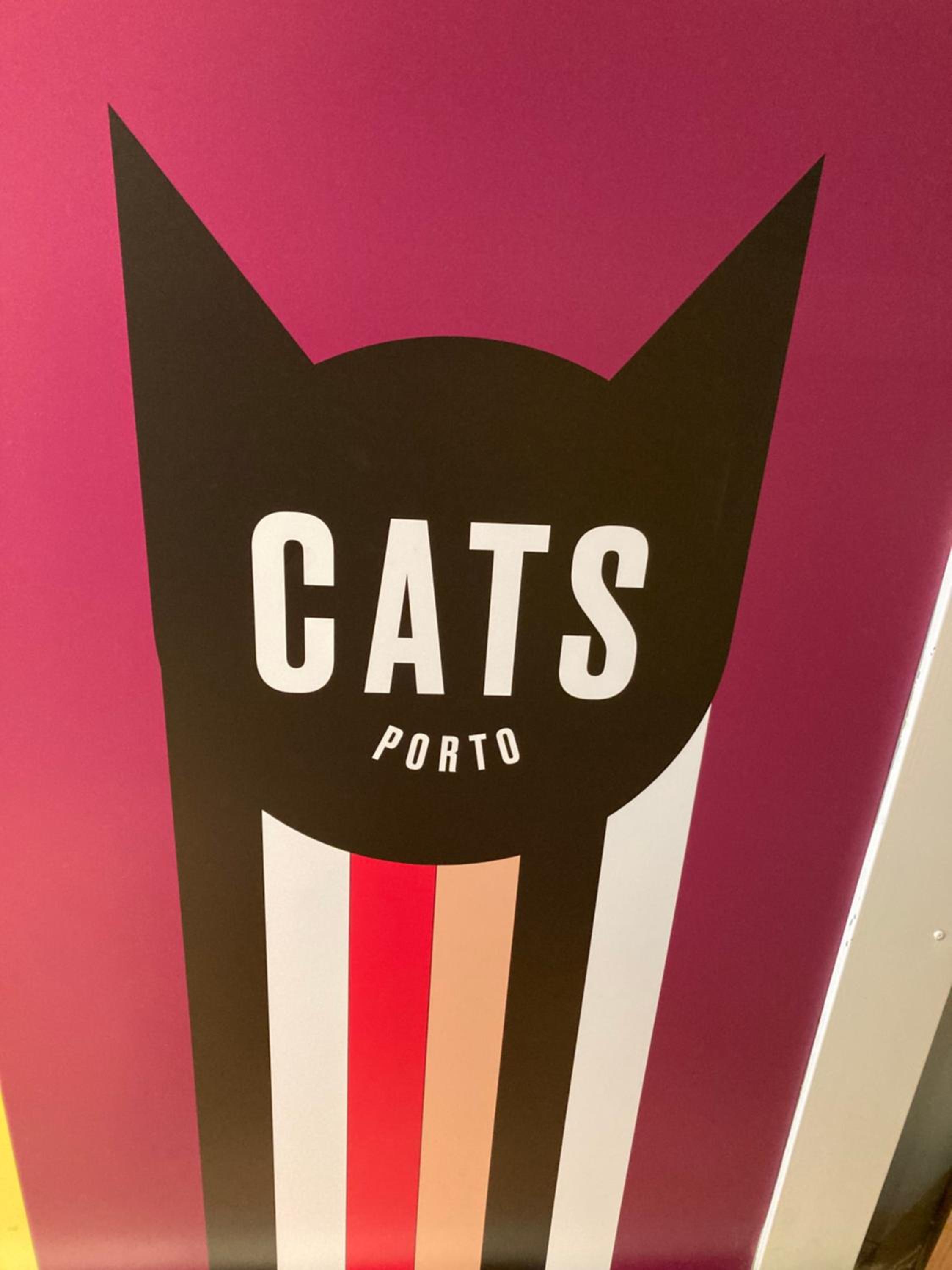 CATS Porto Hostel