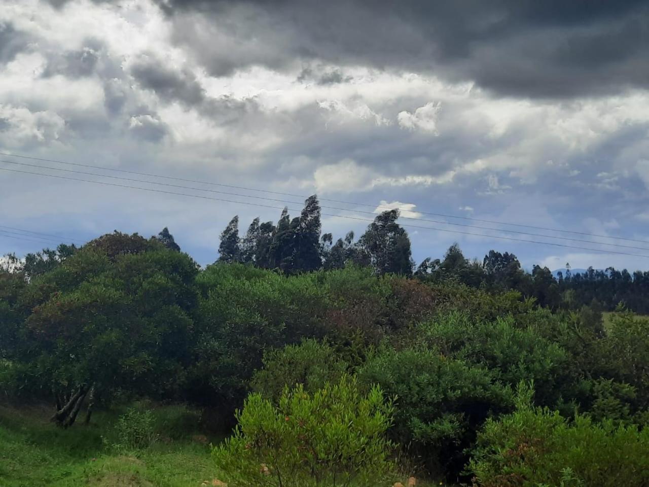 Photo 45
