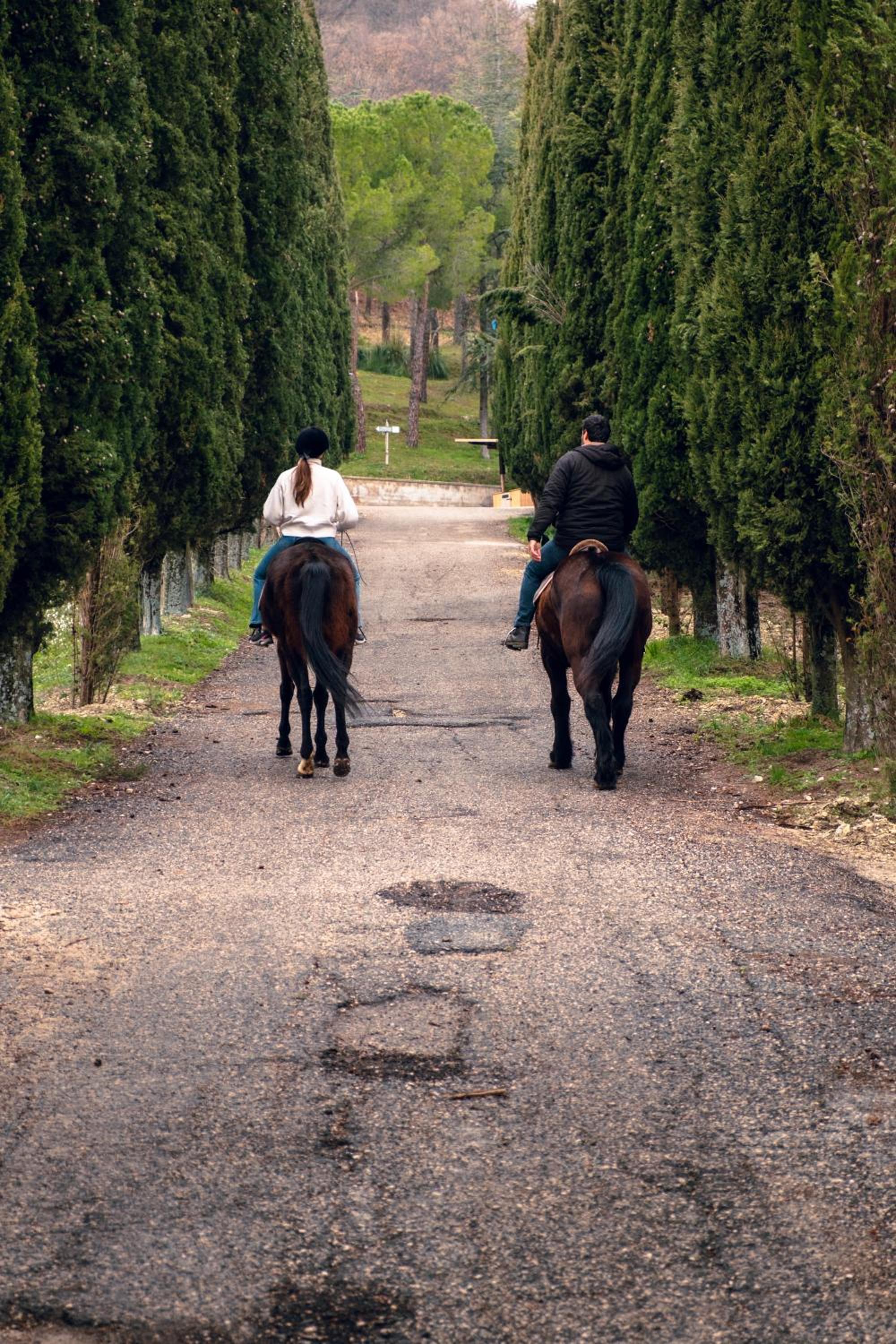 Agriturismo La Cerra