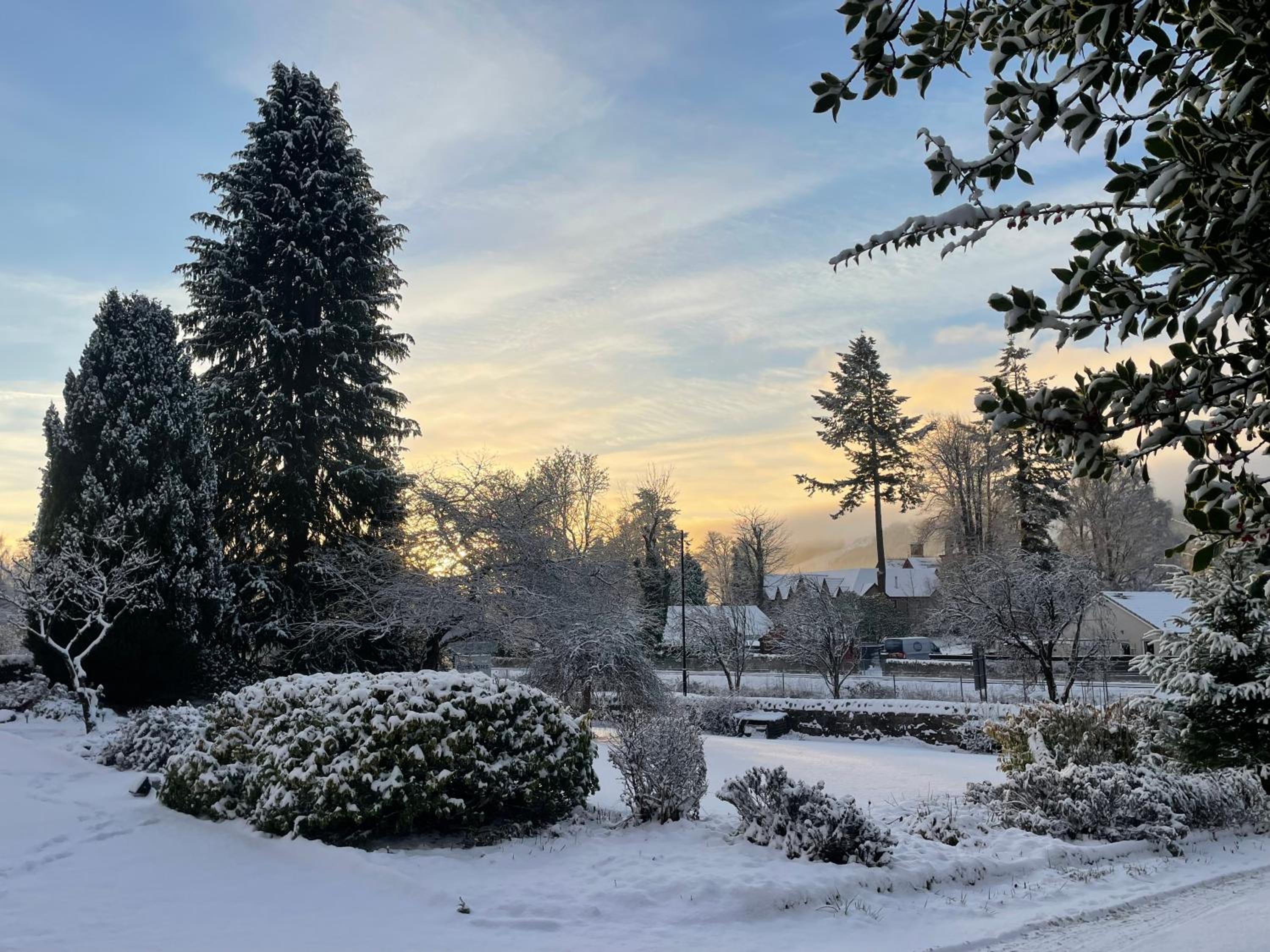 Willows Cottage view 3