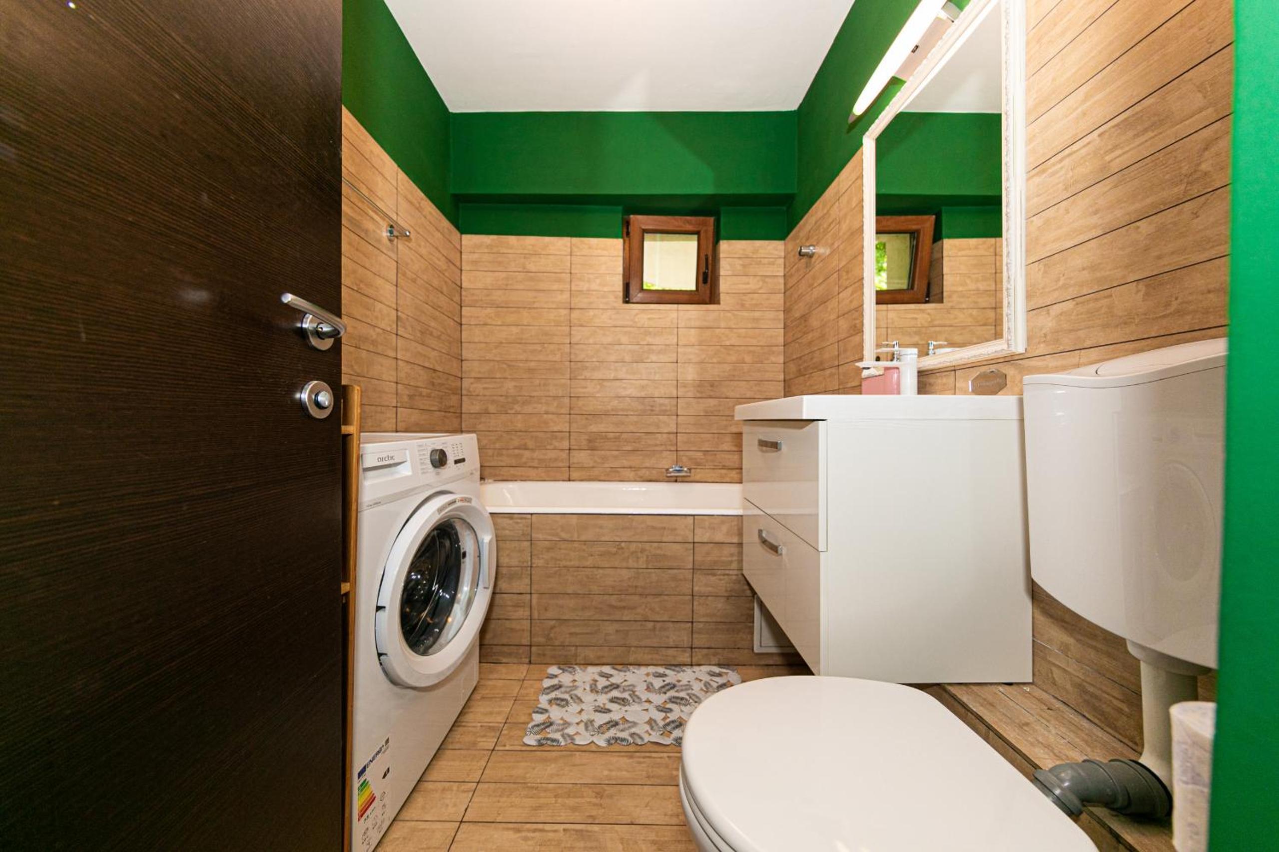 One Bedroom near Floreasca Park view 4