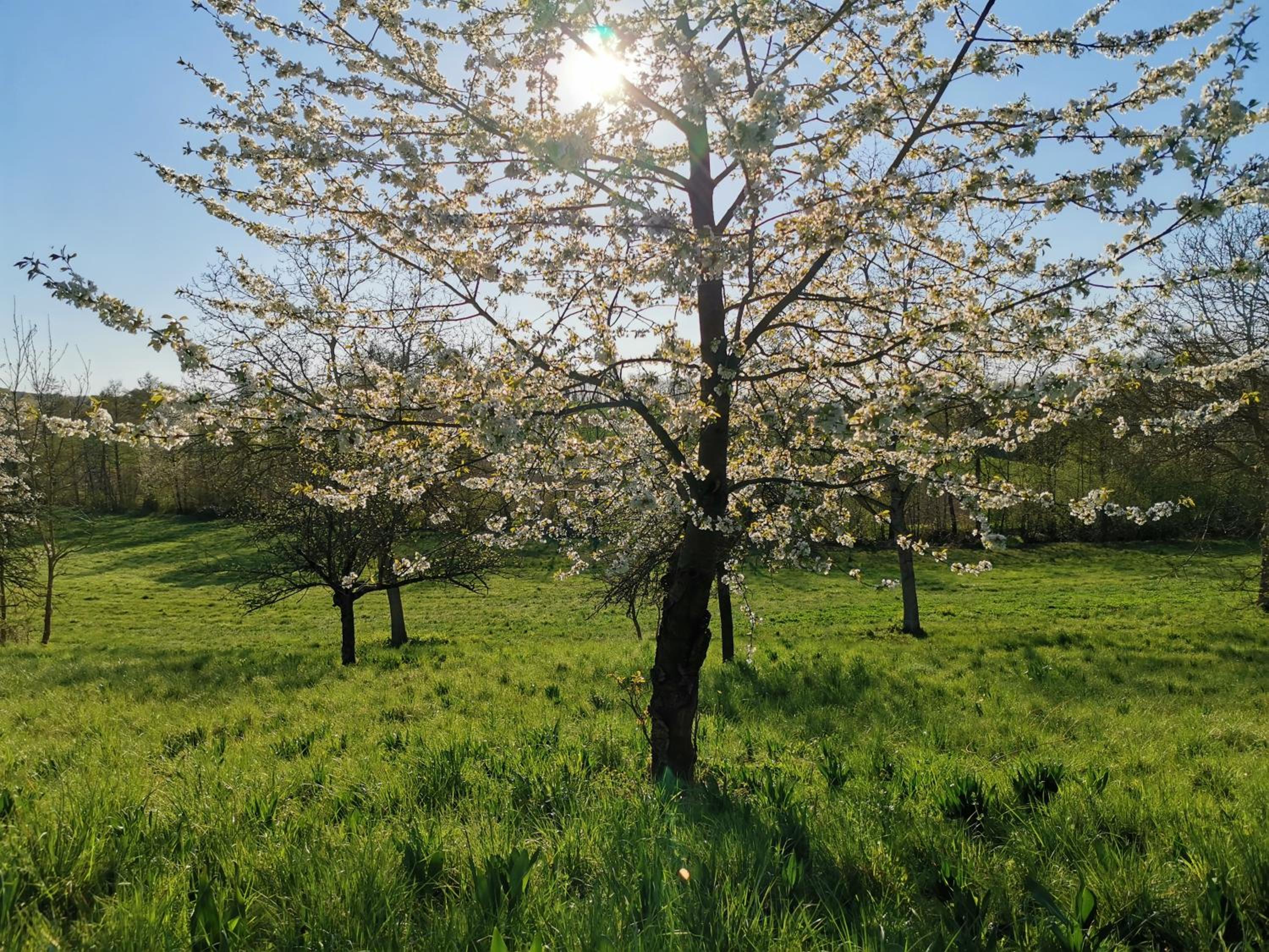 Fernwohl Kürnbach