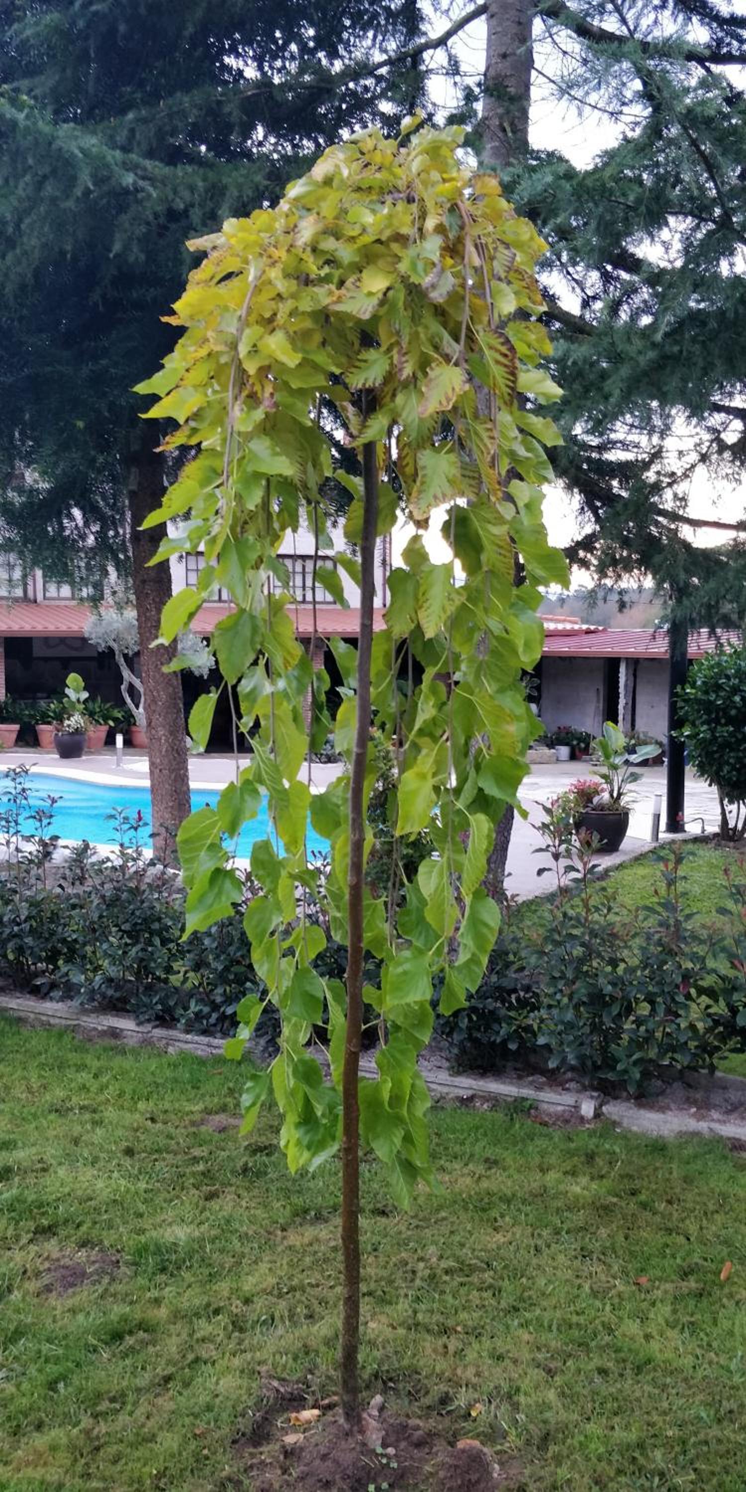 Casa Barranqueiro