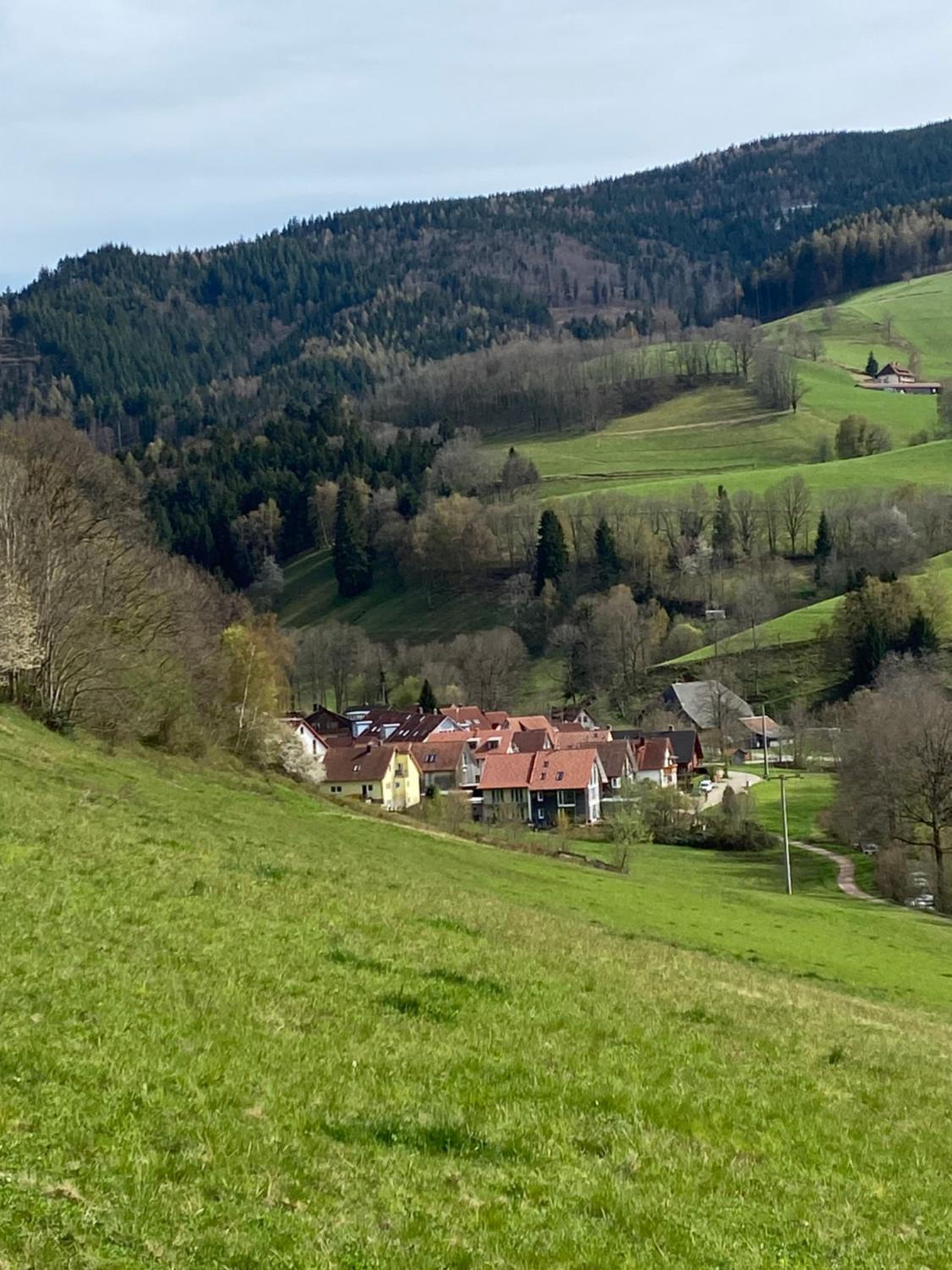 Schwarzwaldglück Apartment