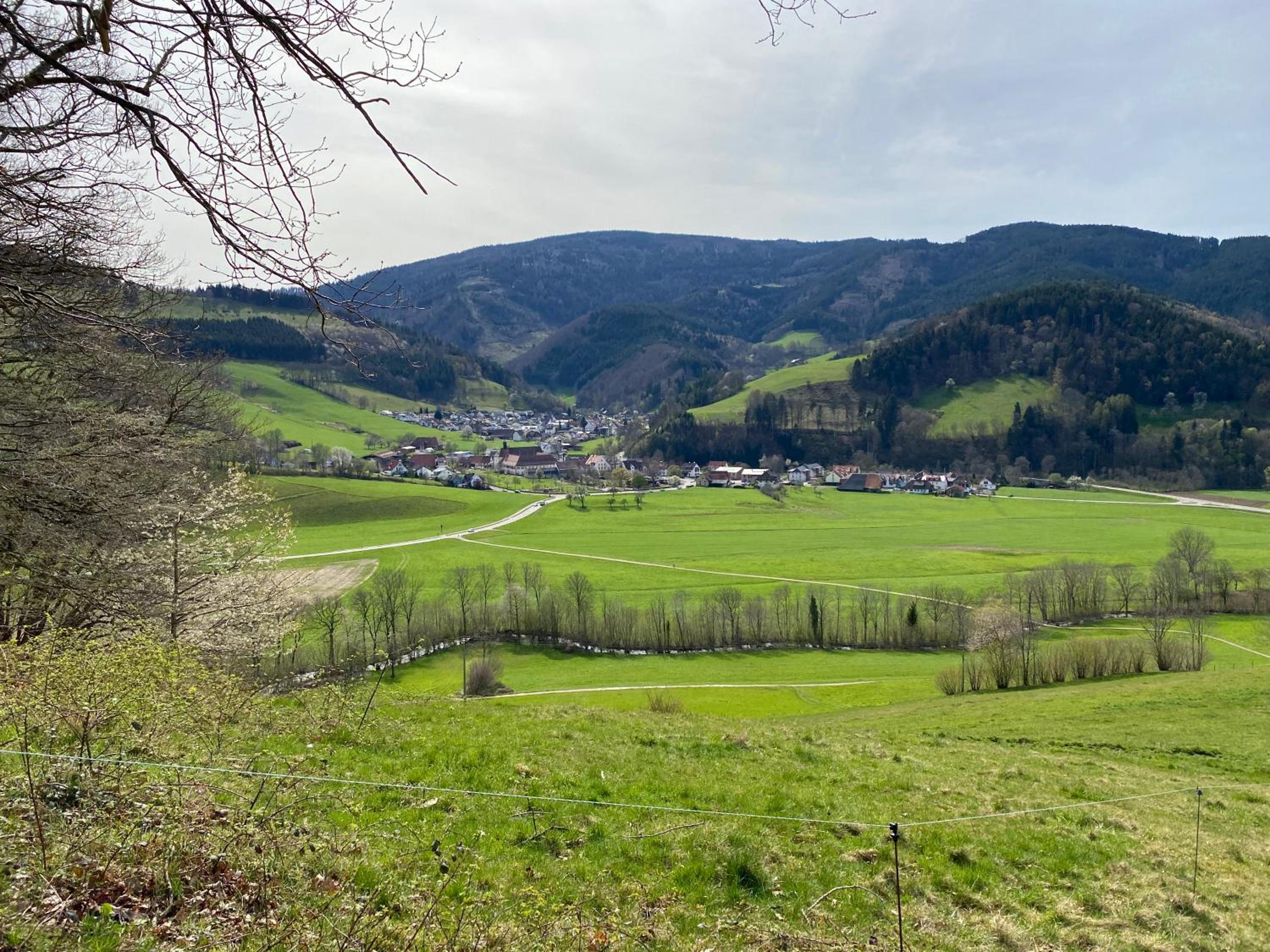 Schwarzwaldglück Apartment