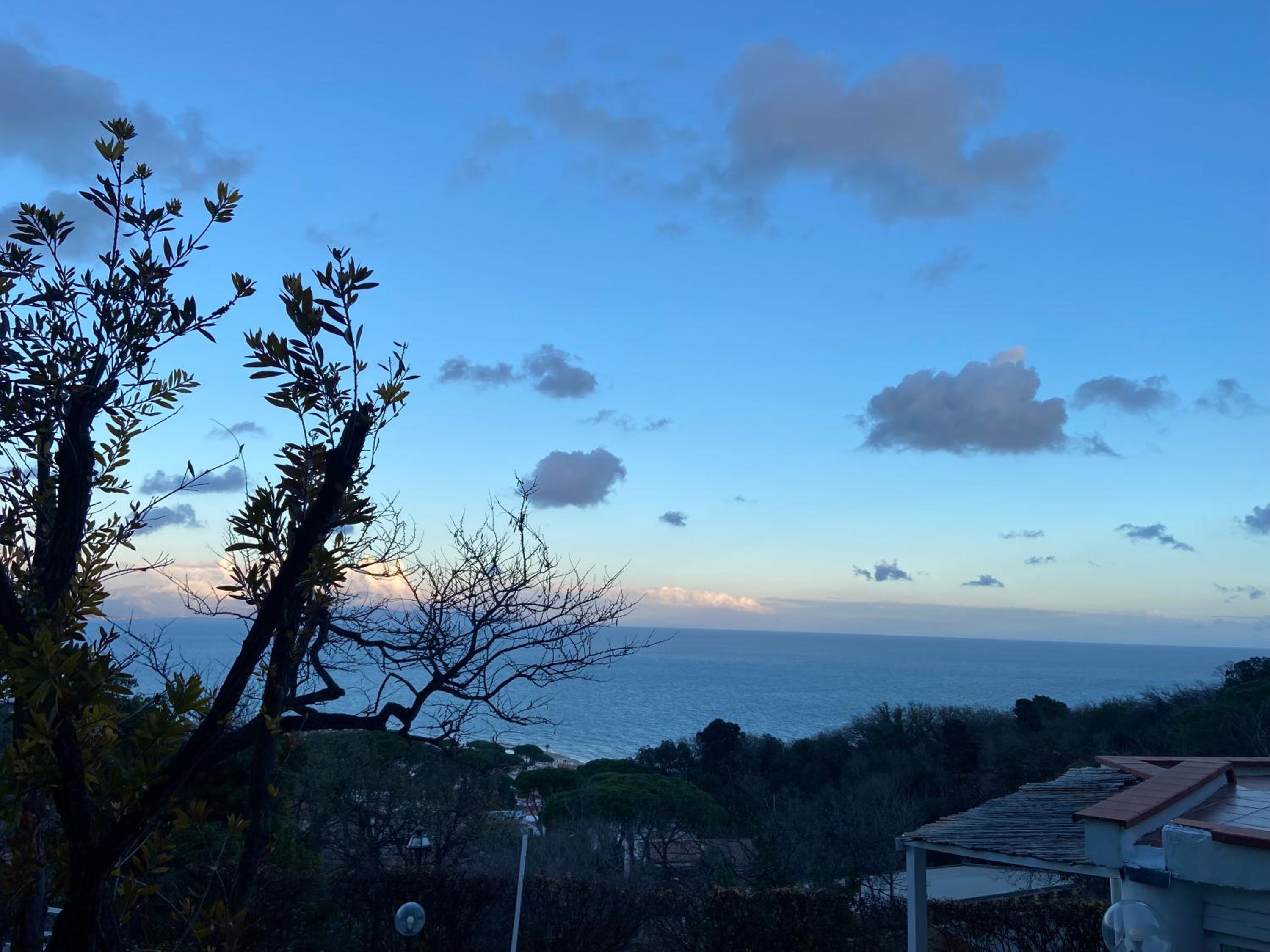 Ippocampo Blanc
