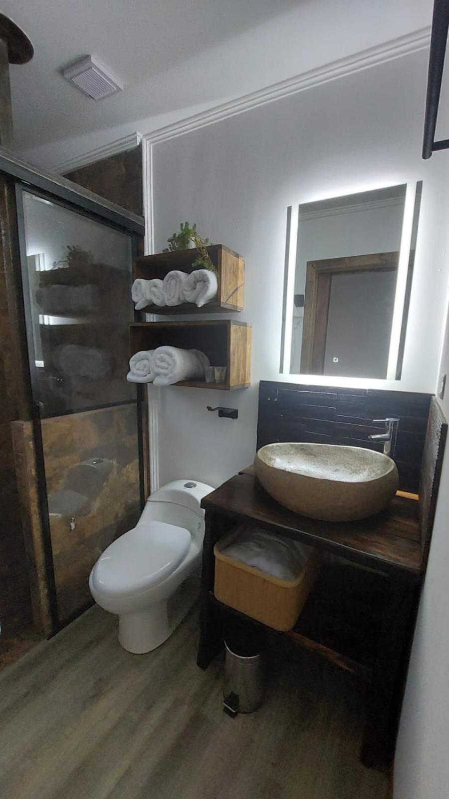Apalta Lofts, disfruta frente a viñedos