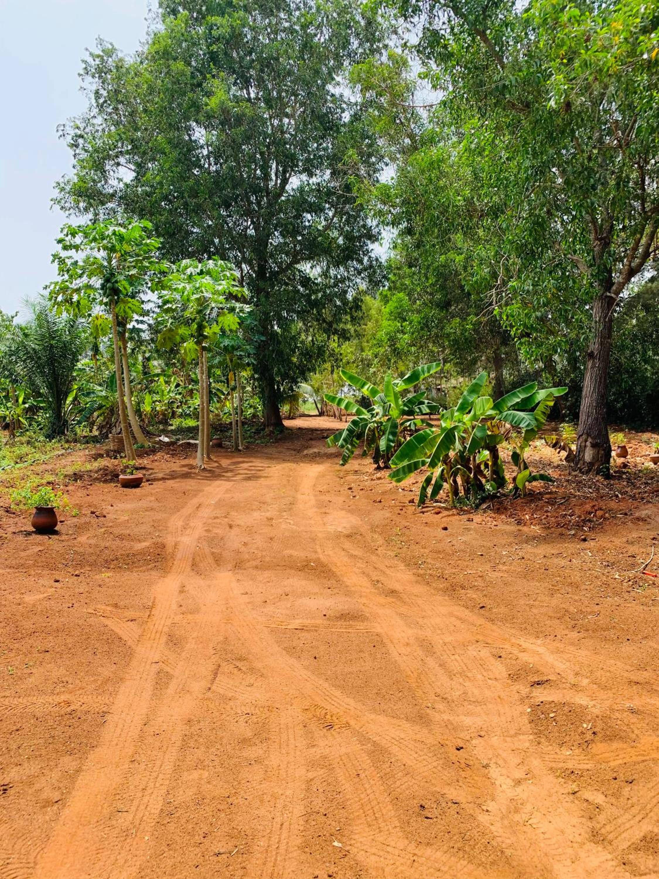 Glamping Lakeview Ouidah