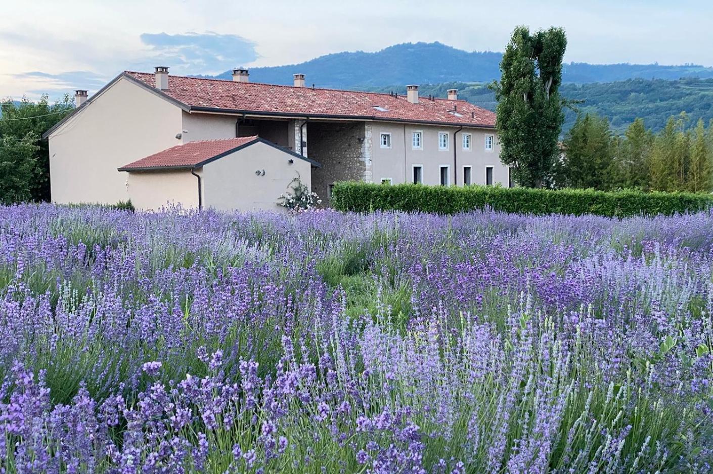 Casa Perazzolo