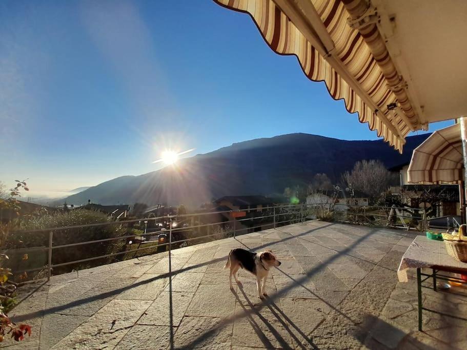 Casa Vacanze Le tre Sorelle view 4