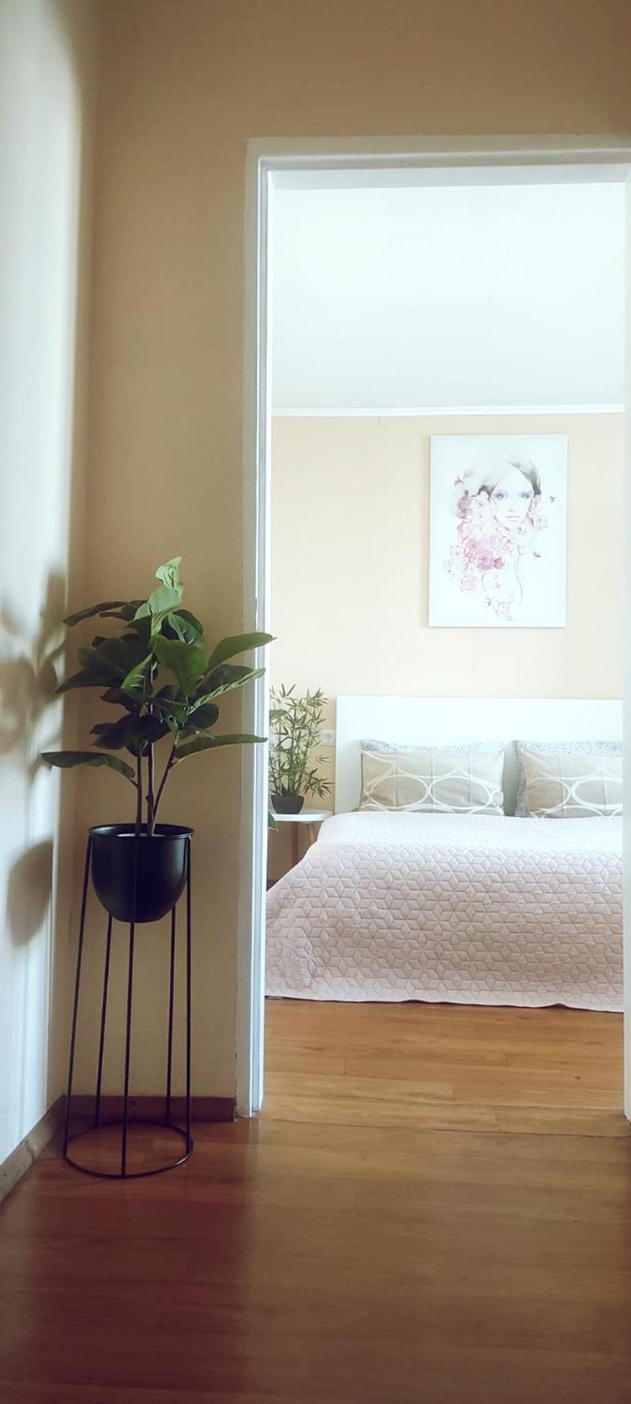 Fruza family apartment in Riga view 5