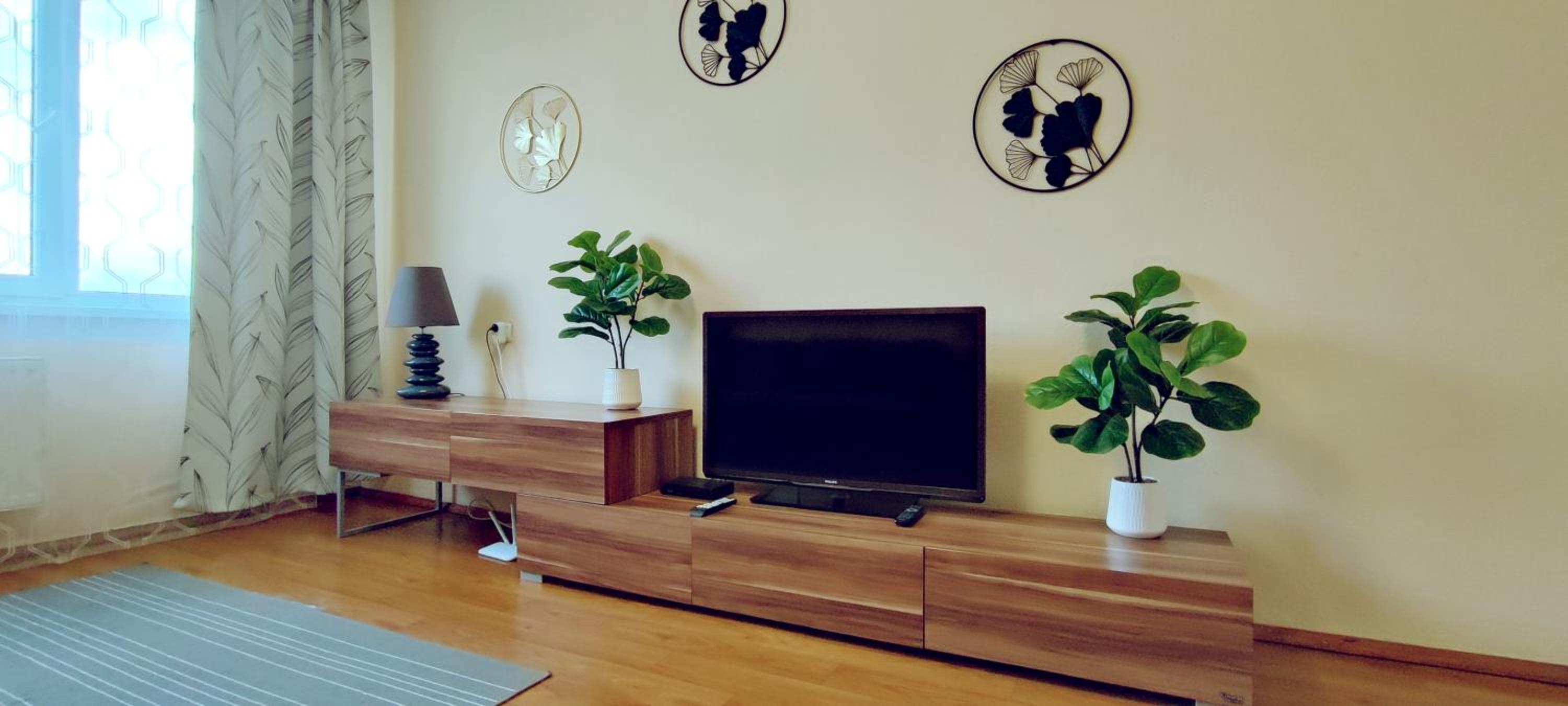 Fruza family apartment in Riga view 2