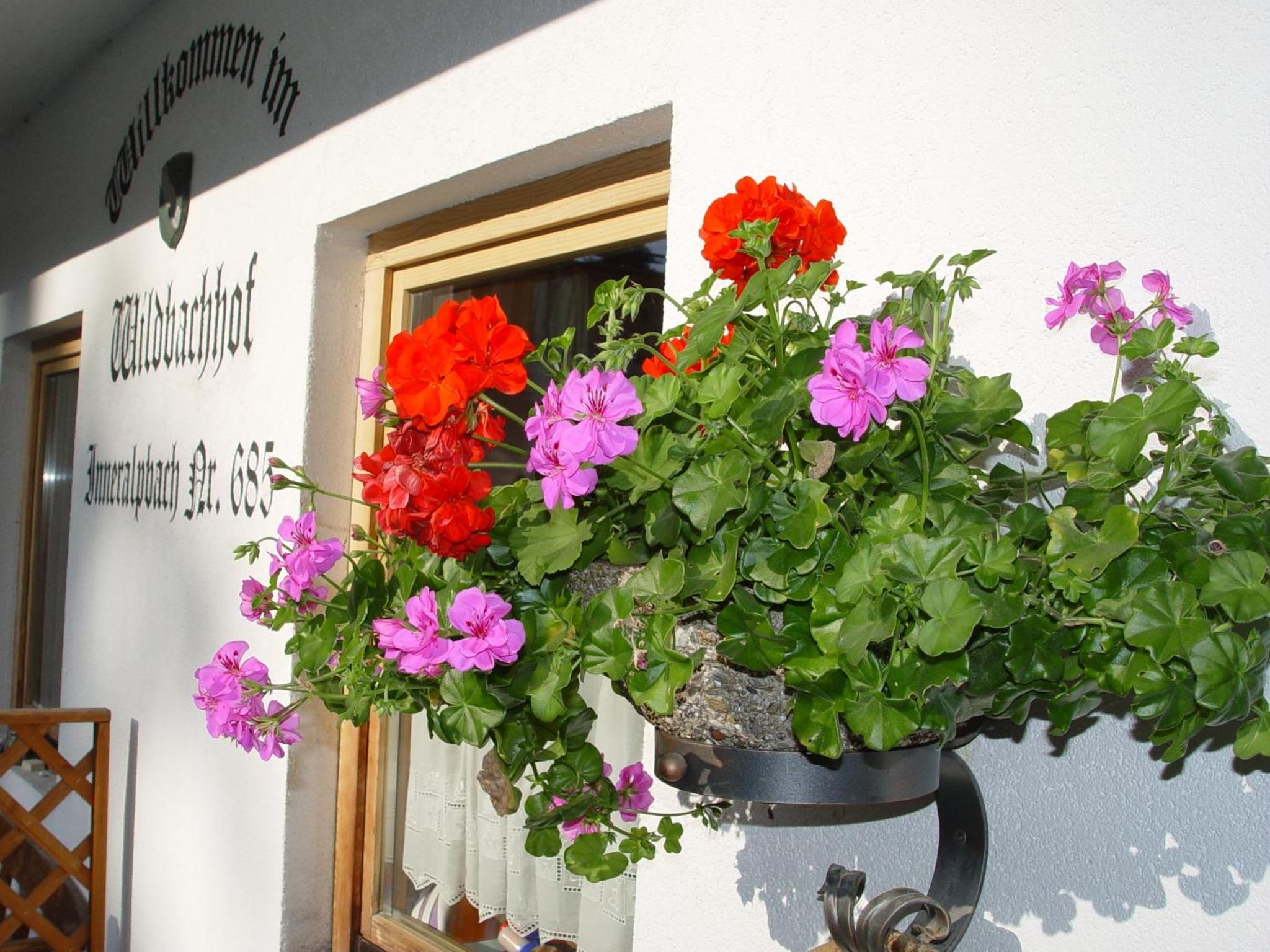 Appartementhaus Wildbachhof