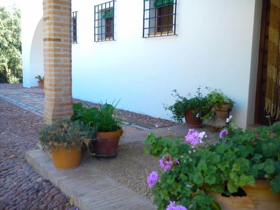 Villa Carmen Magnificent Country House in Serranía