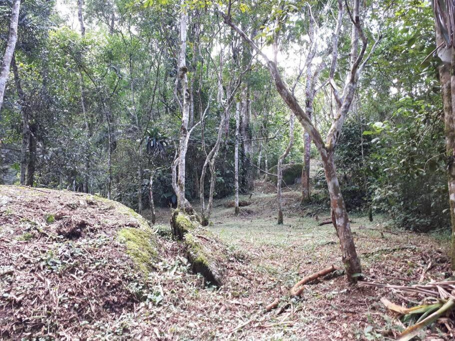 Tao da Serra - cabana em meio à natureza!