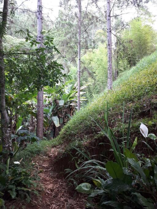 Tao da Serra - cabana em meio à natureza!