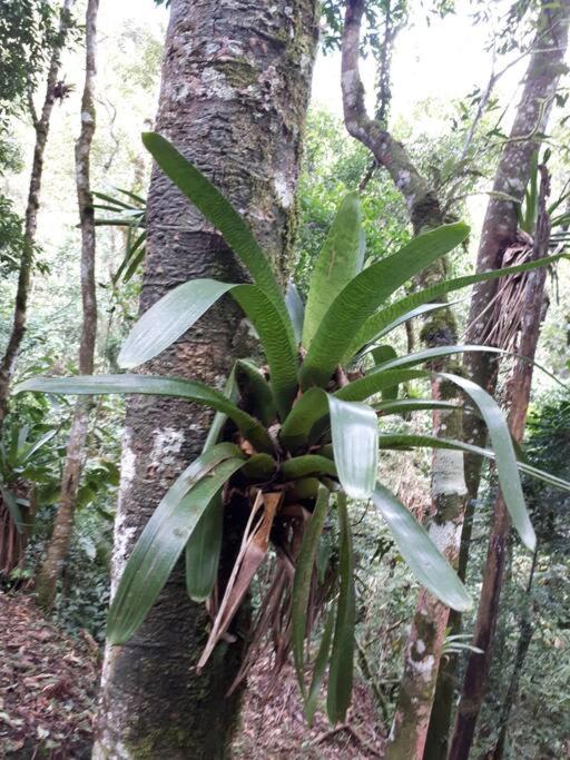 Tao da Serra - cabana em meio à natureza!