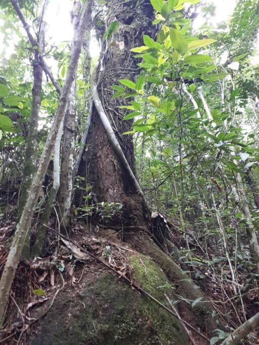 Tao da Serra - cabana em meio à natureza!