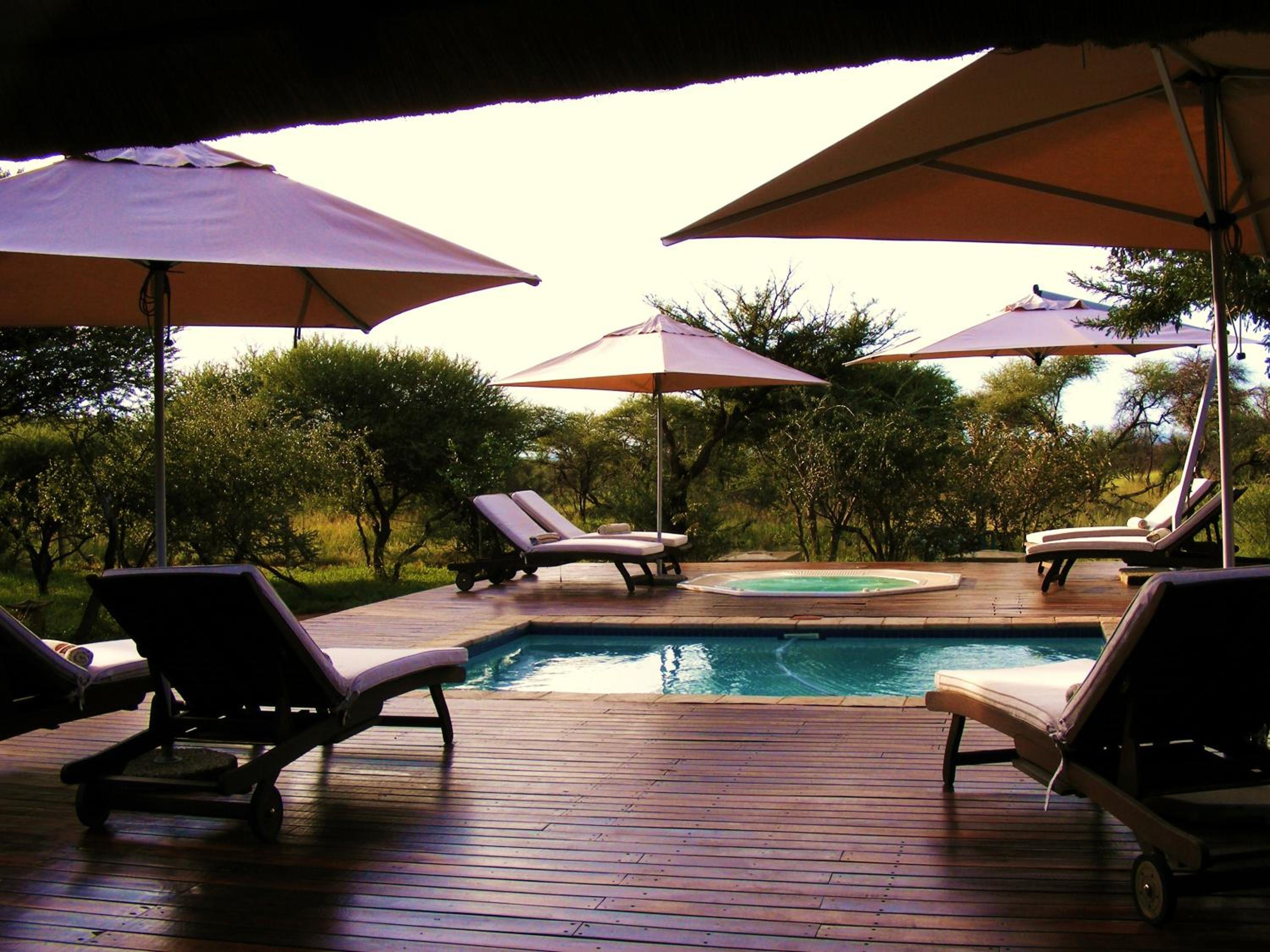 Buffalo Thorn Lodge
