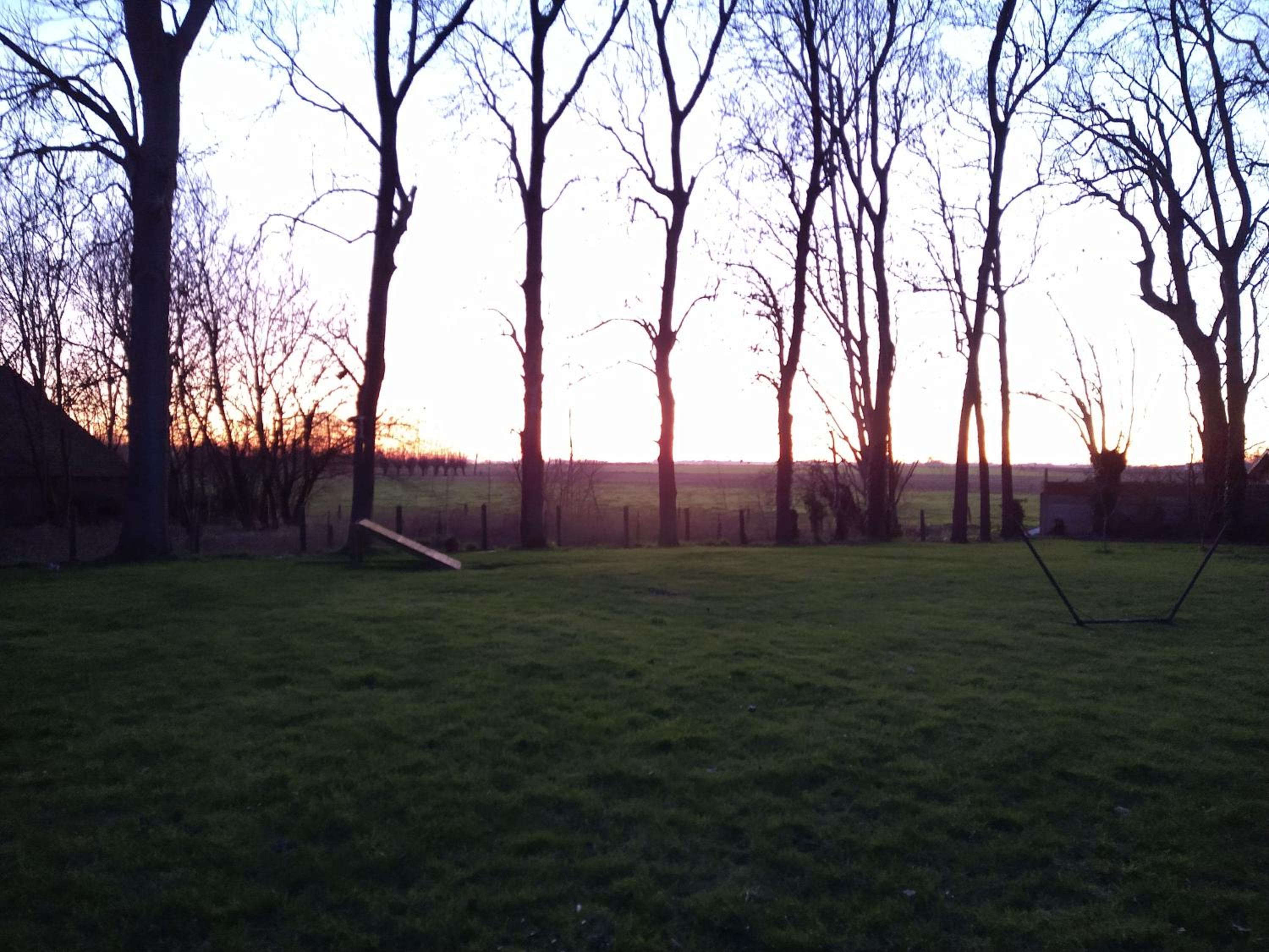 In 't Wiel Oudenaarde