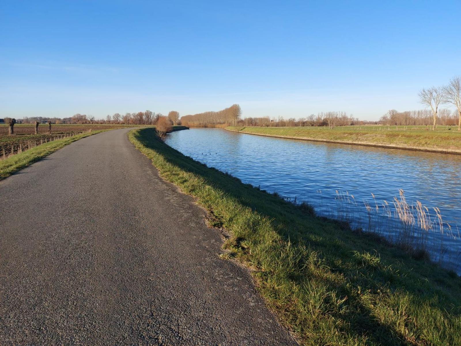 In 't Wiel Oudenaarde