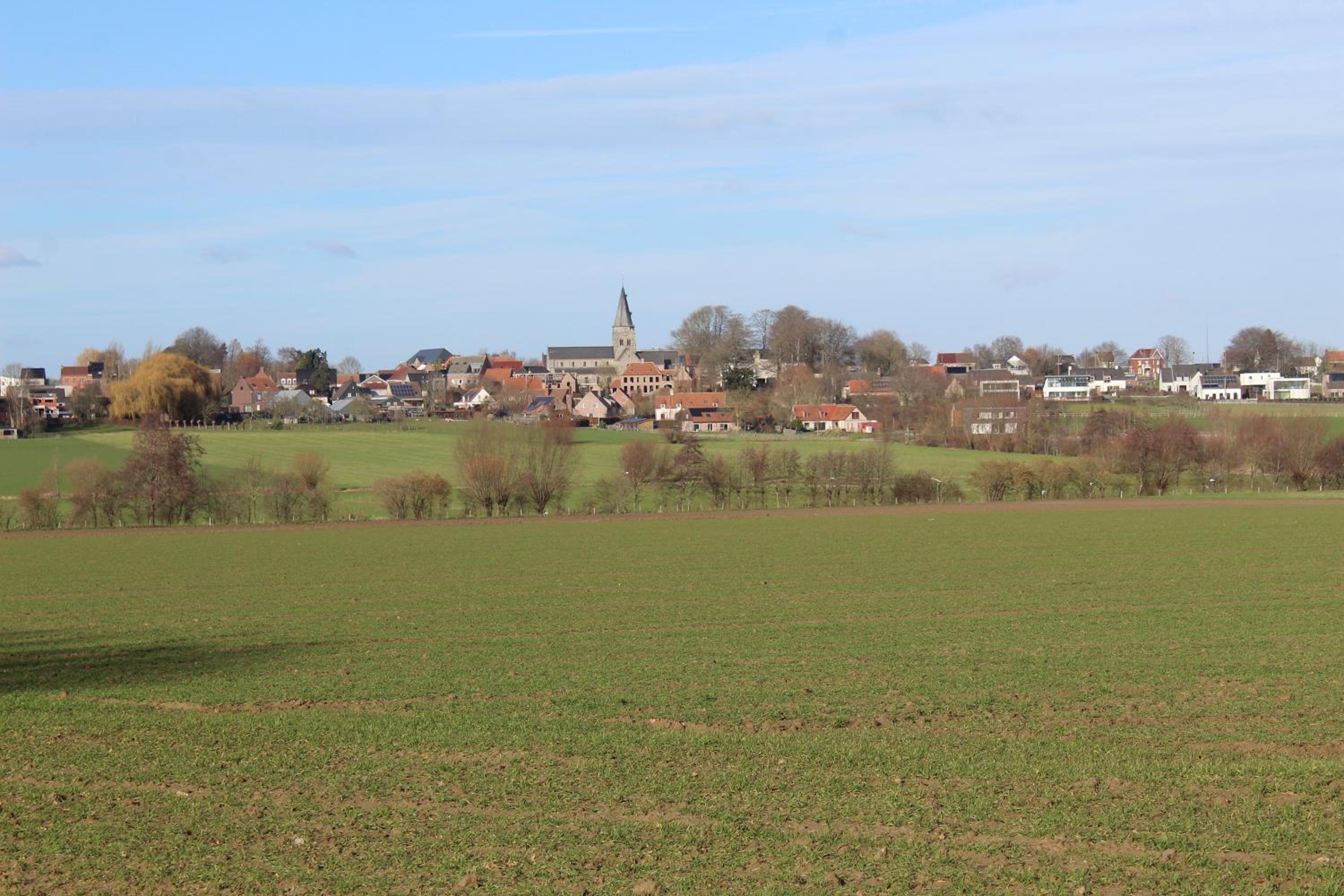 In 't Wiel Oudenaarde