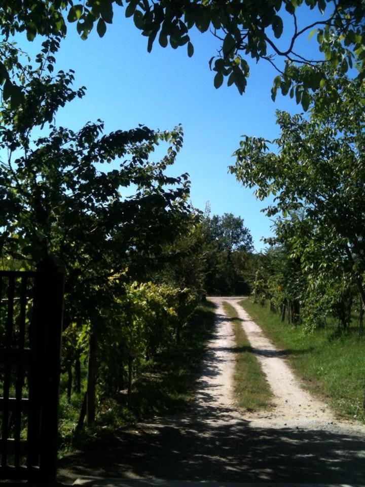Photo 15