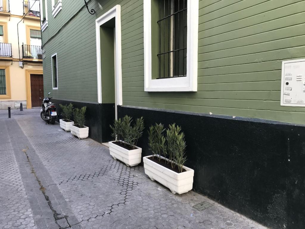 Photo 32