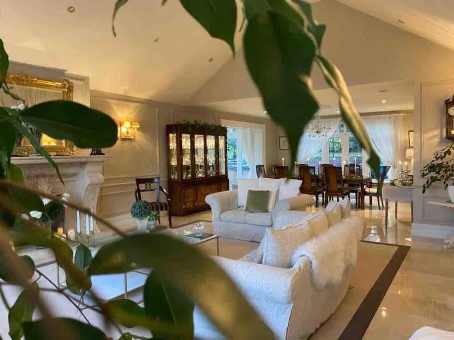 Lakeview Lodge Exclusive Home on the Blessington Lake view 5