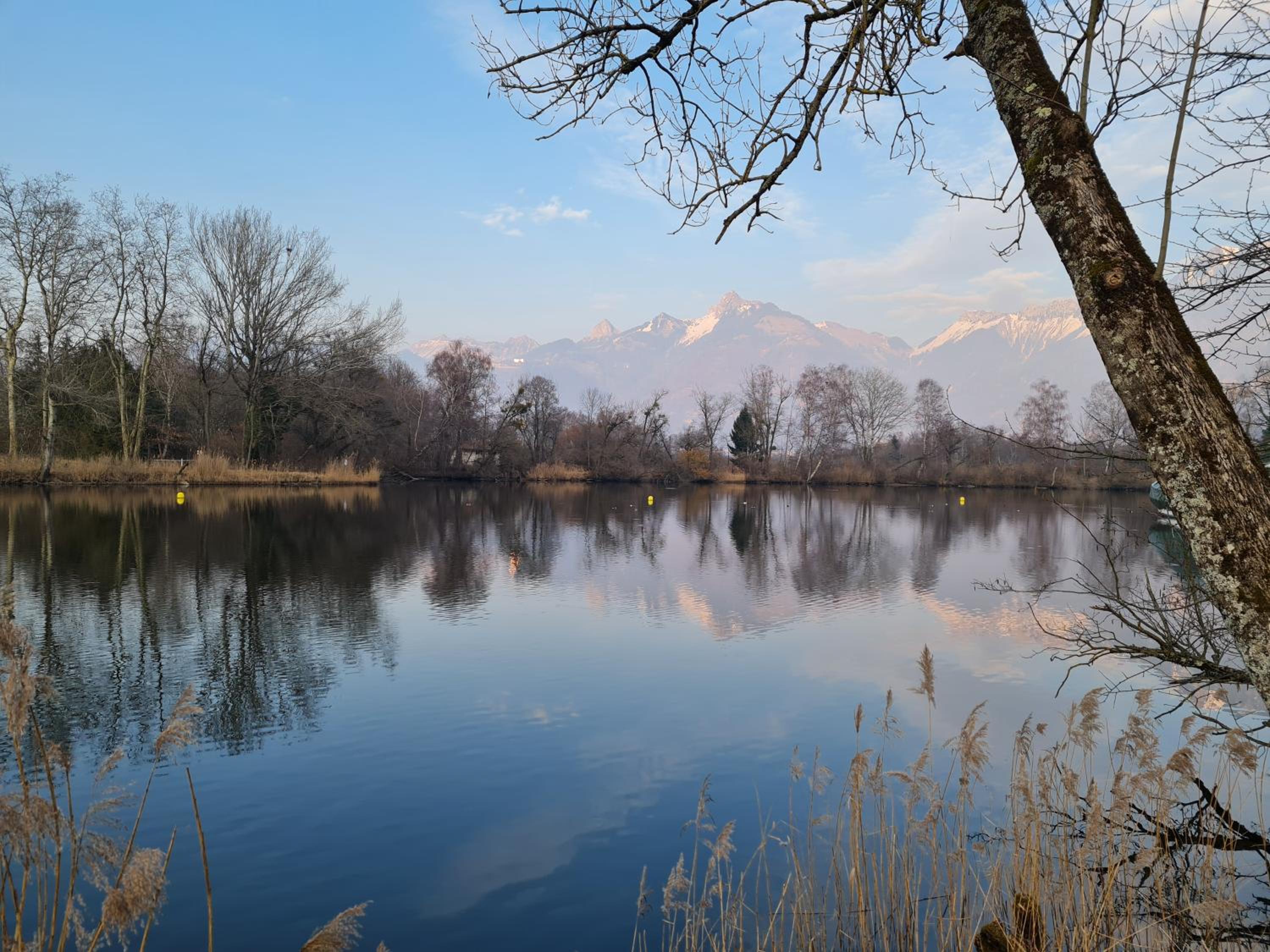 Rhône Cottage 4, villa, jardin, vélos, balançoires, jeux, 200m étang Vieux Rhône