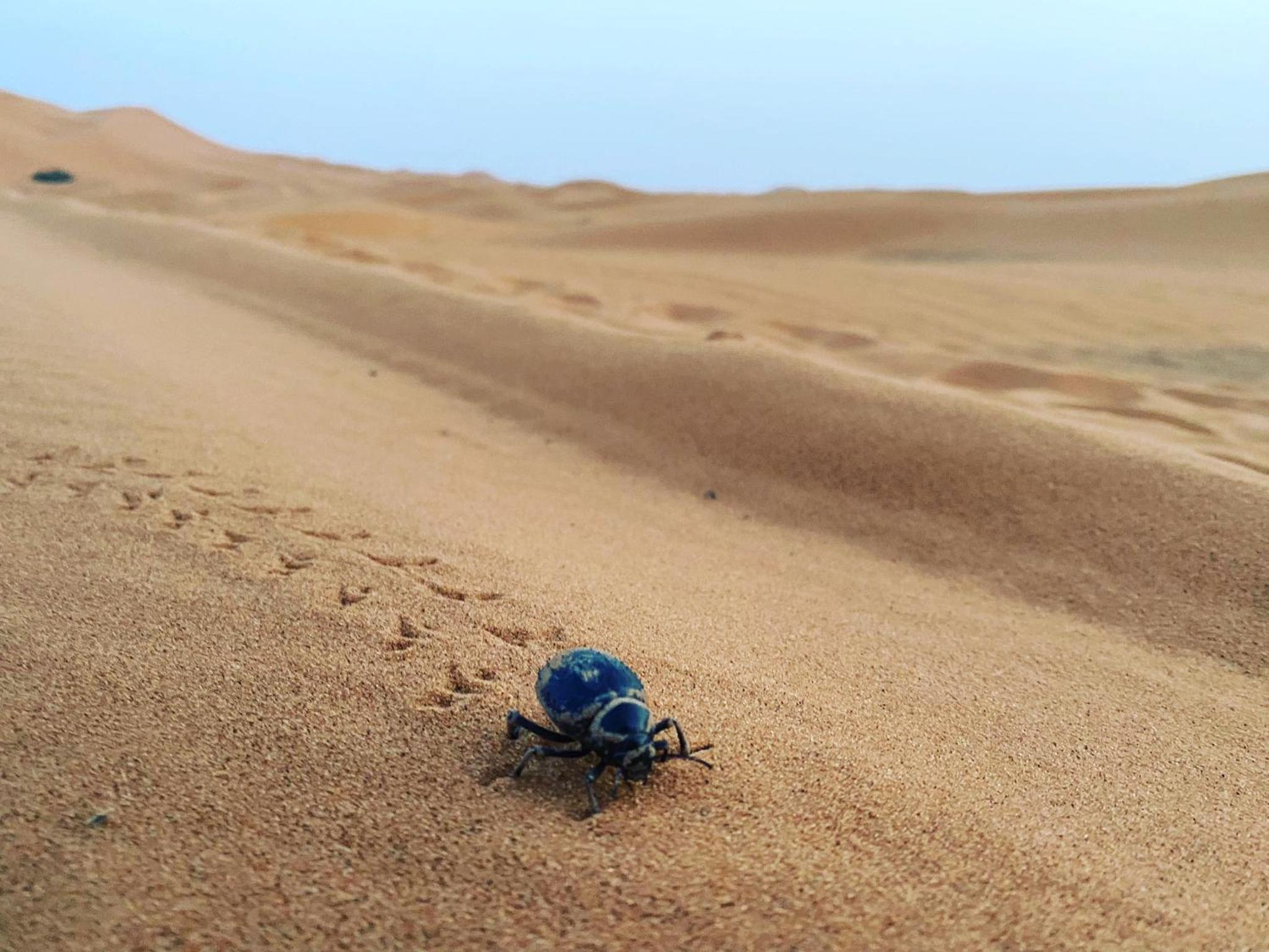 Merzouga Luxury Camps
