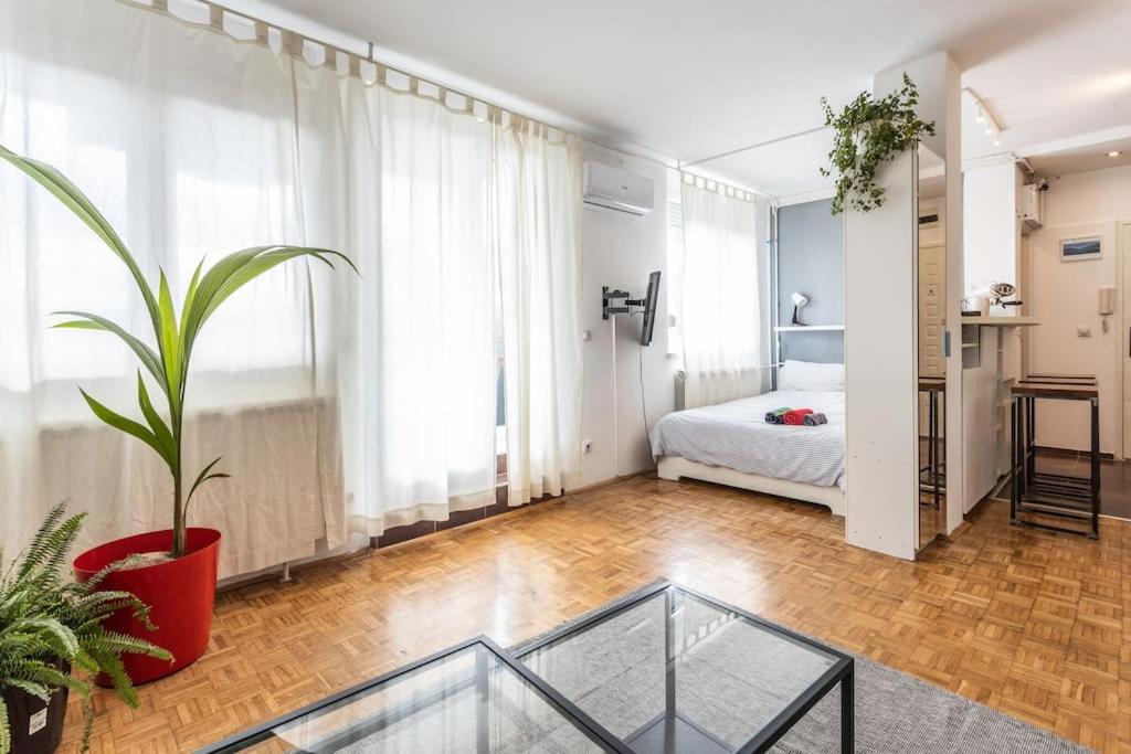 Lovely Studio with a big terrace