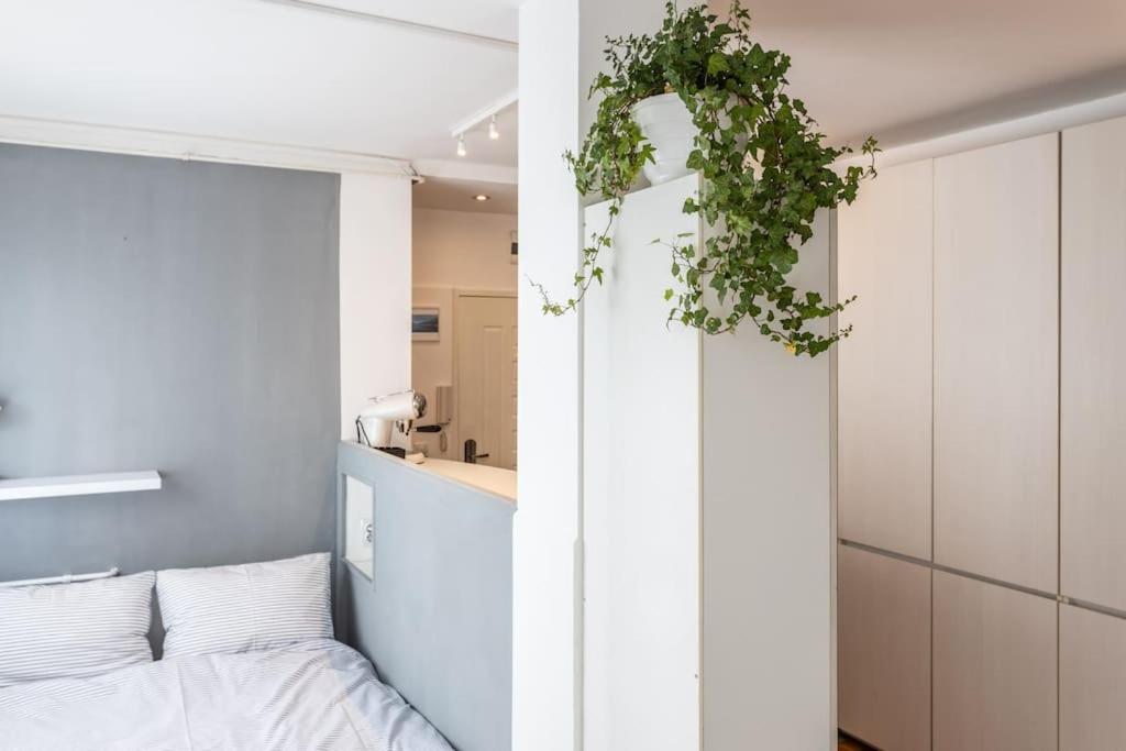 Lovely Studio with a big terrace
