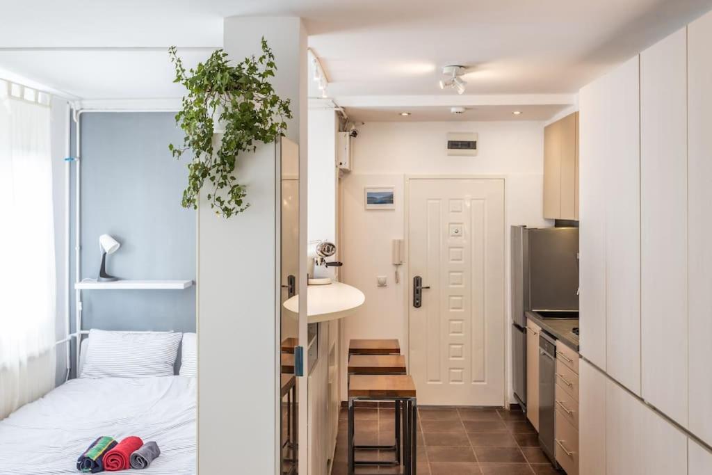 Lovely Studio with a big terrace