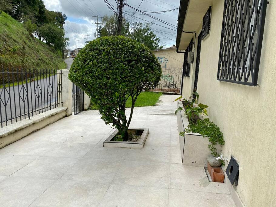 Acogedora casa muy cerca al centro histórico de Popayán