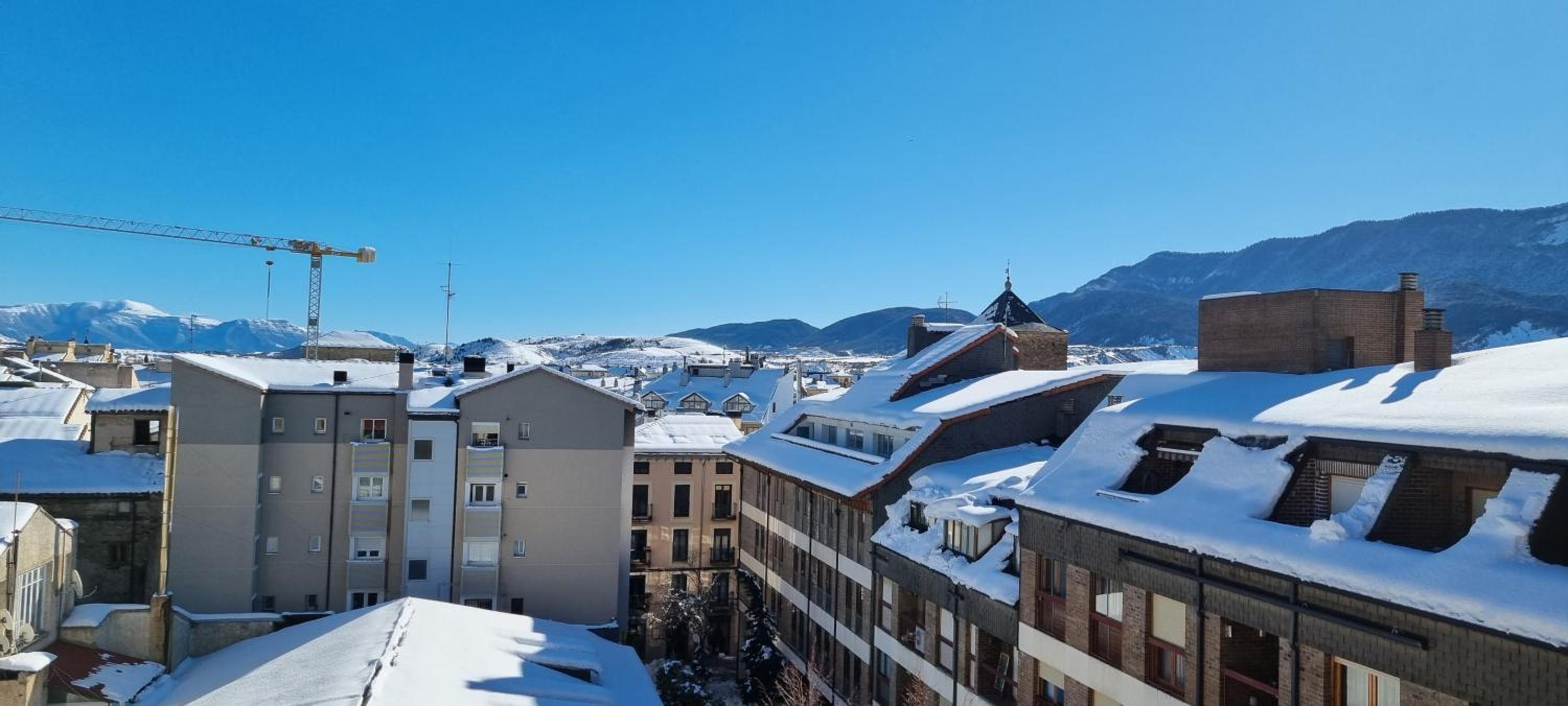 Flor de Nieve