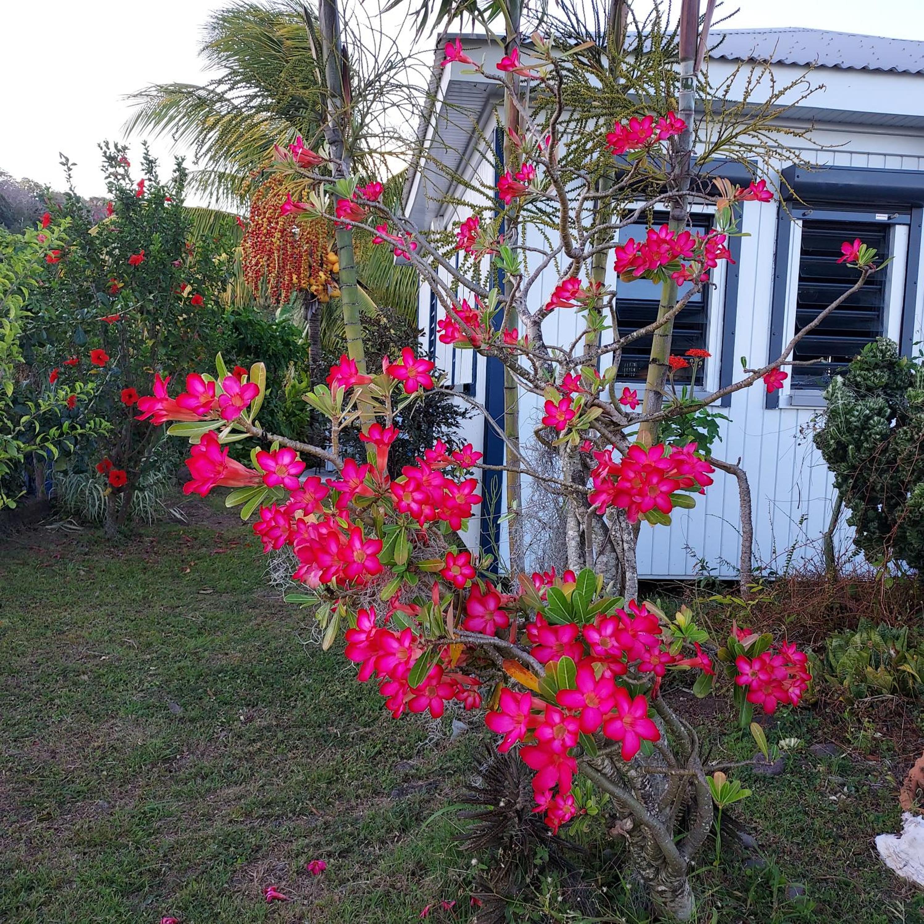 Photo 27
