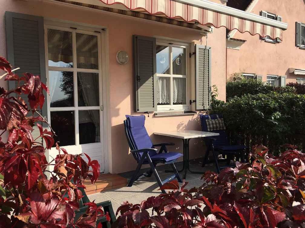 Apartment in Bad Waltersdorf - Steiermark 43929
