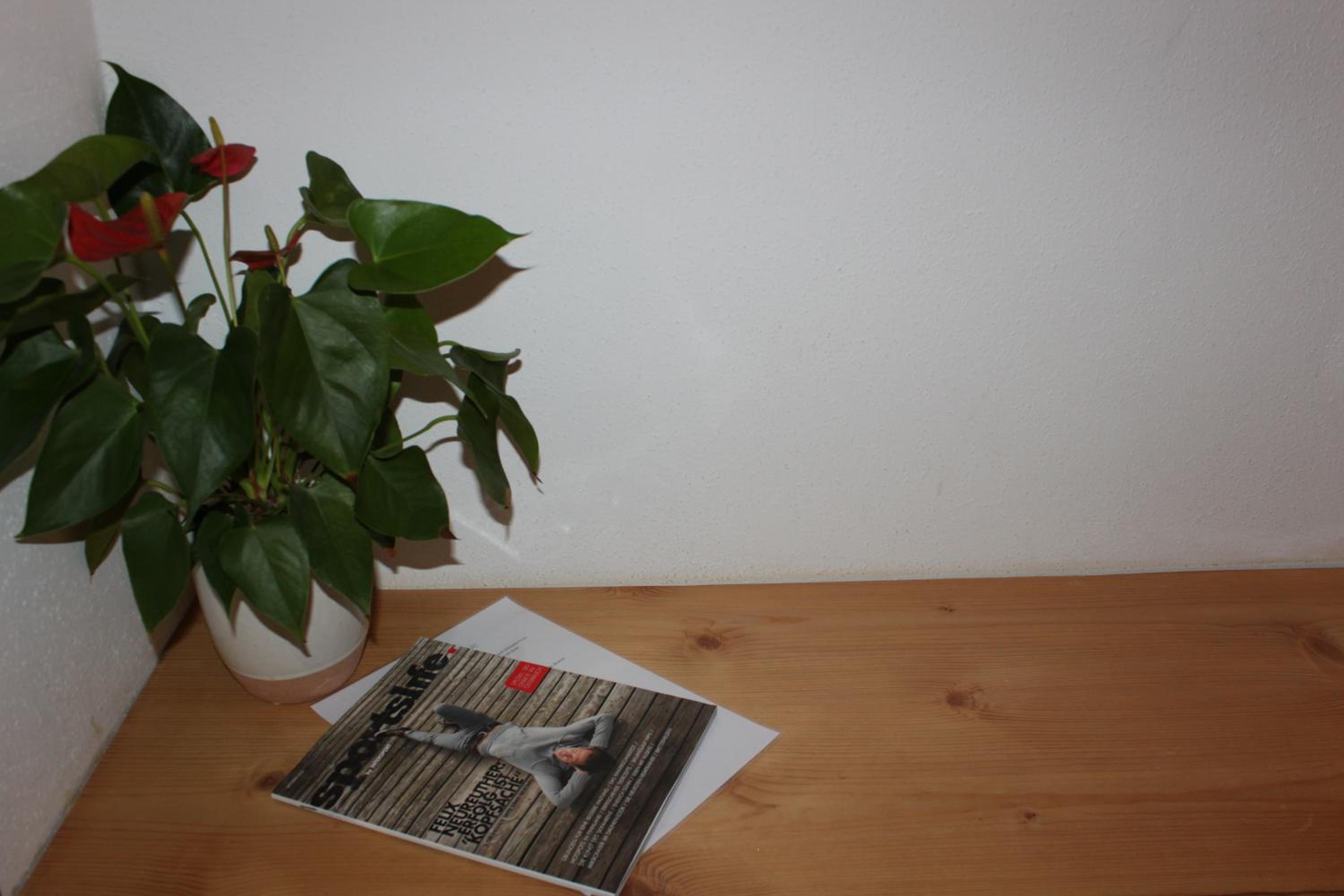 Pension Lugeck
