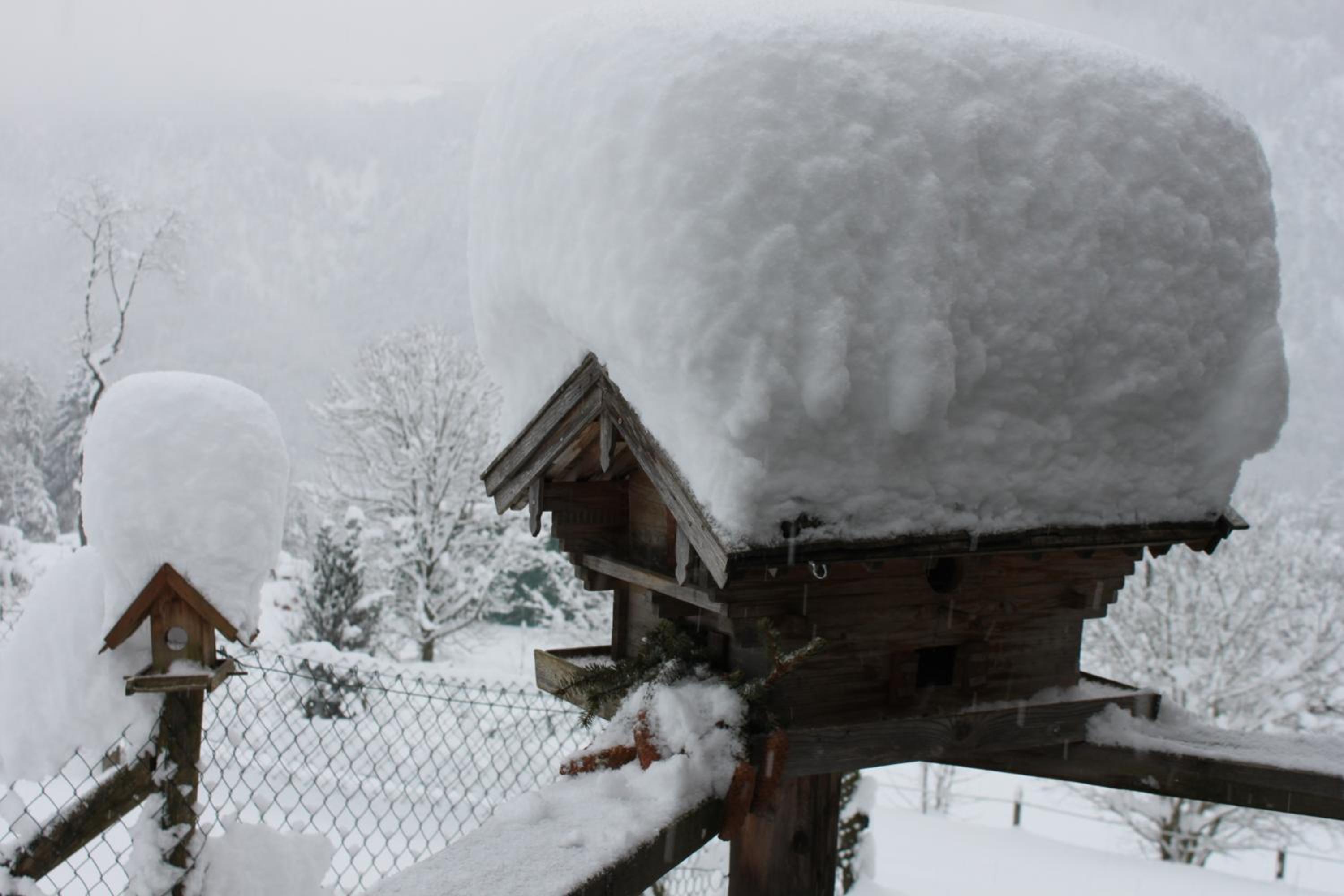 Pension Lugeck